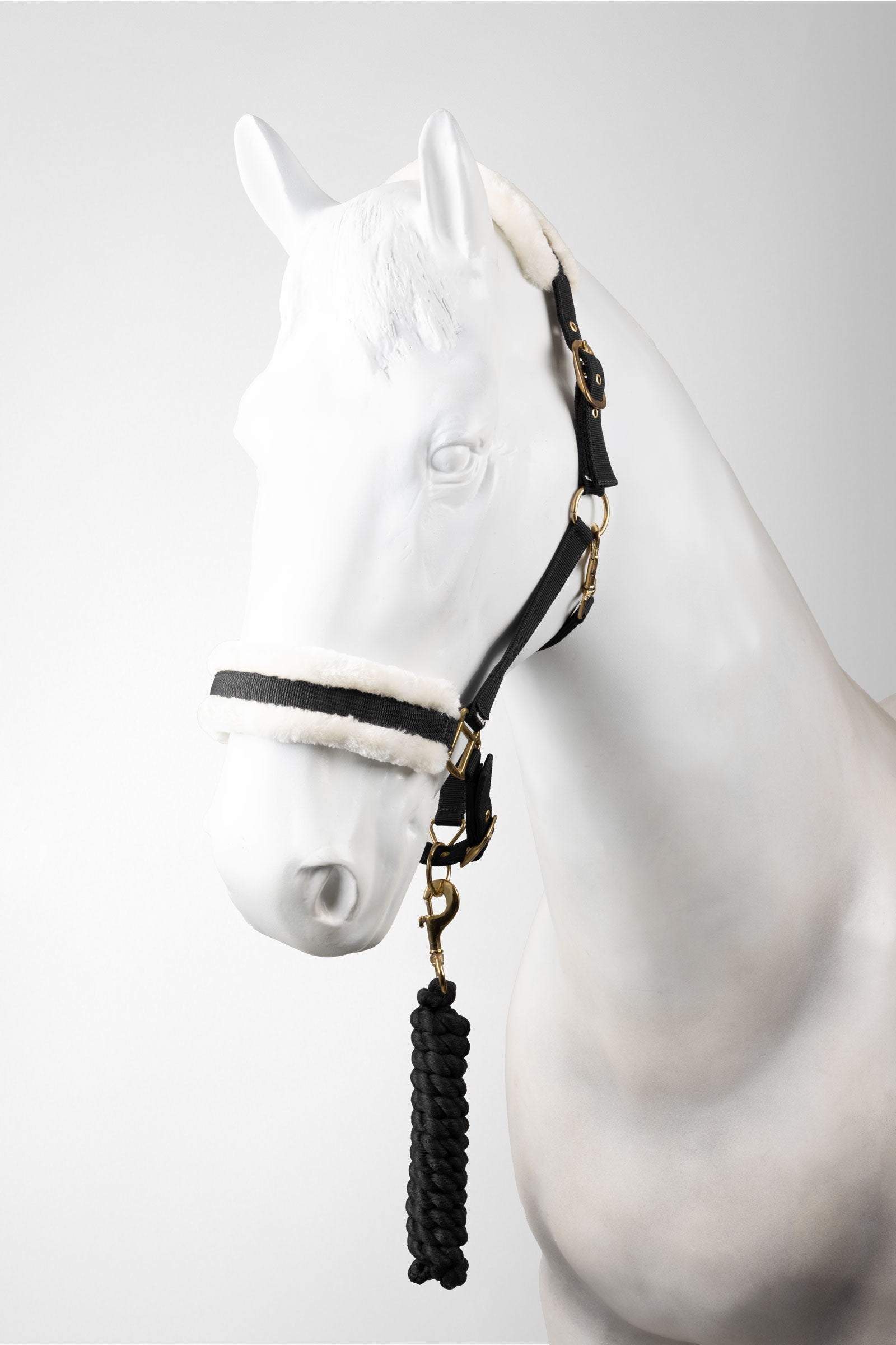 Horze cavezza e longhina set Cavezze e guinsagli