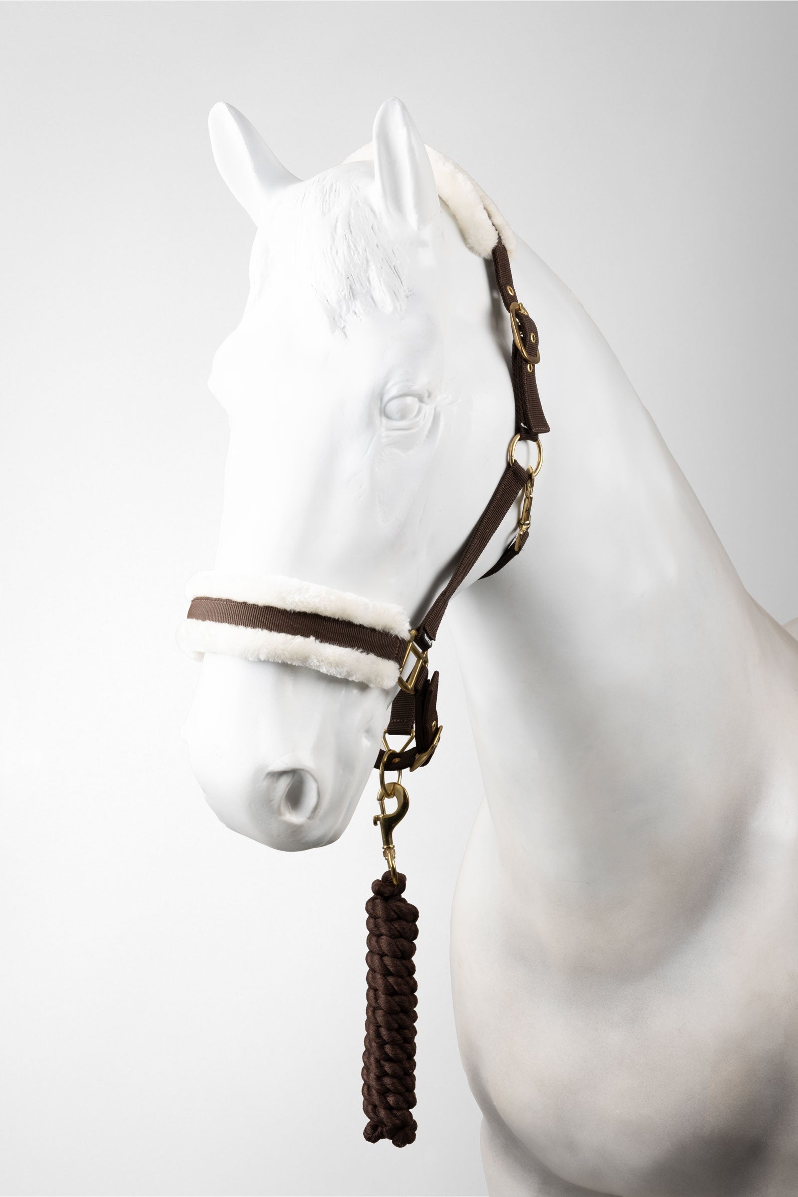 Horze cavezza e longhina set Cavezze e guinsagli