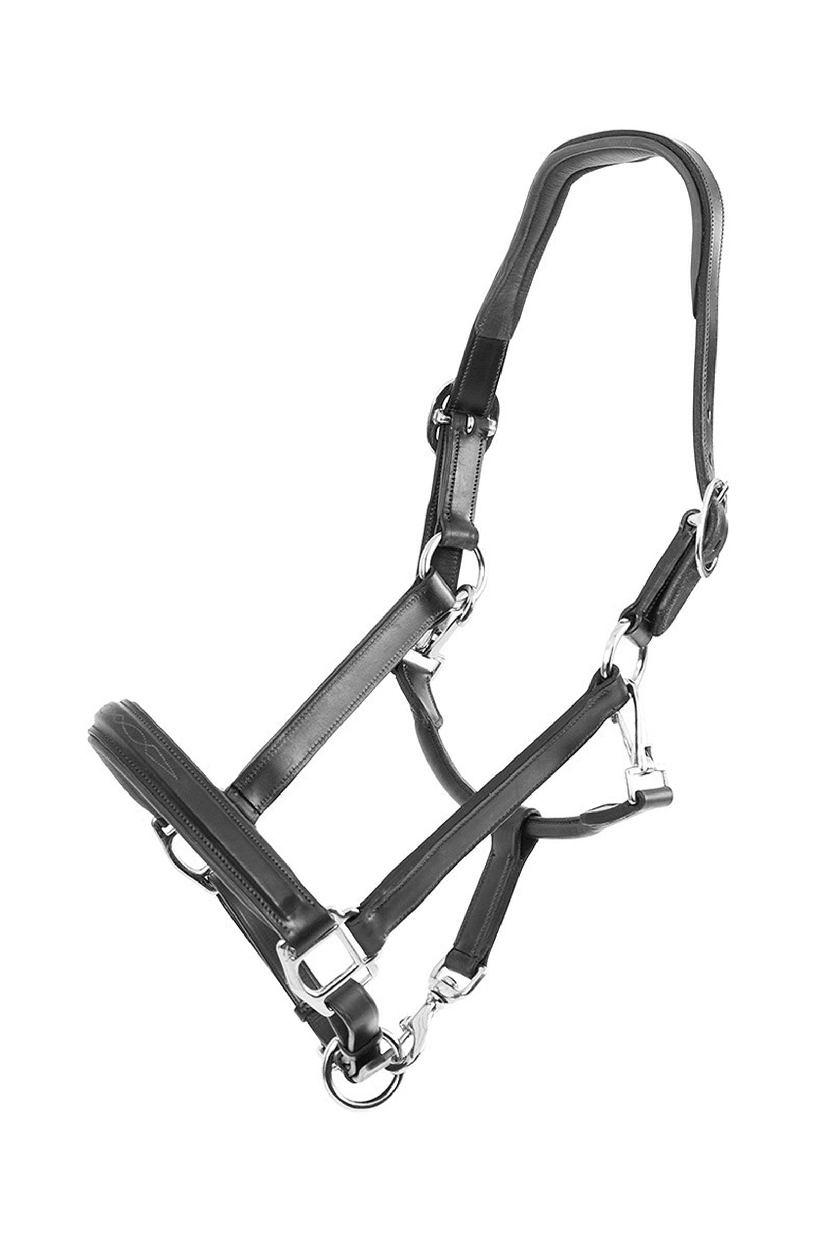Trust Equestrian Halter San Miguel Cavezze e guinsagli