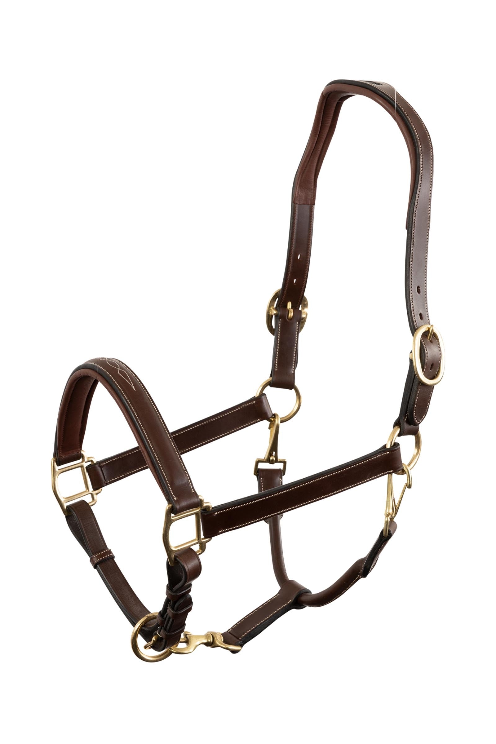 Trust Equestrian Halter San Miguel Cavezze e guinsagli