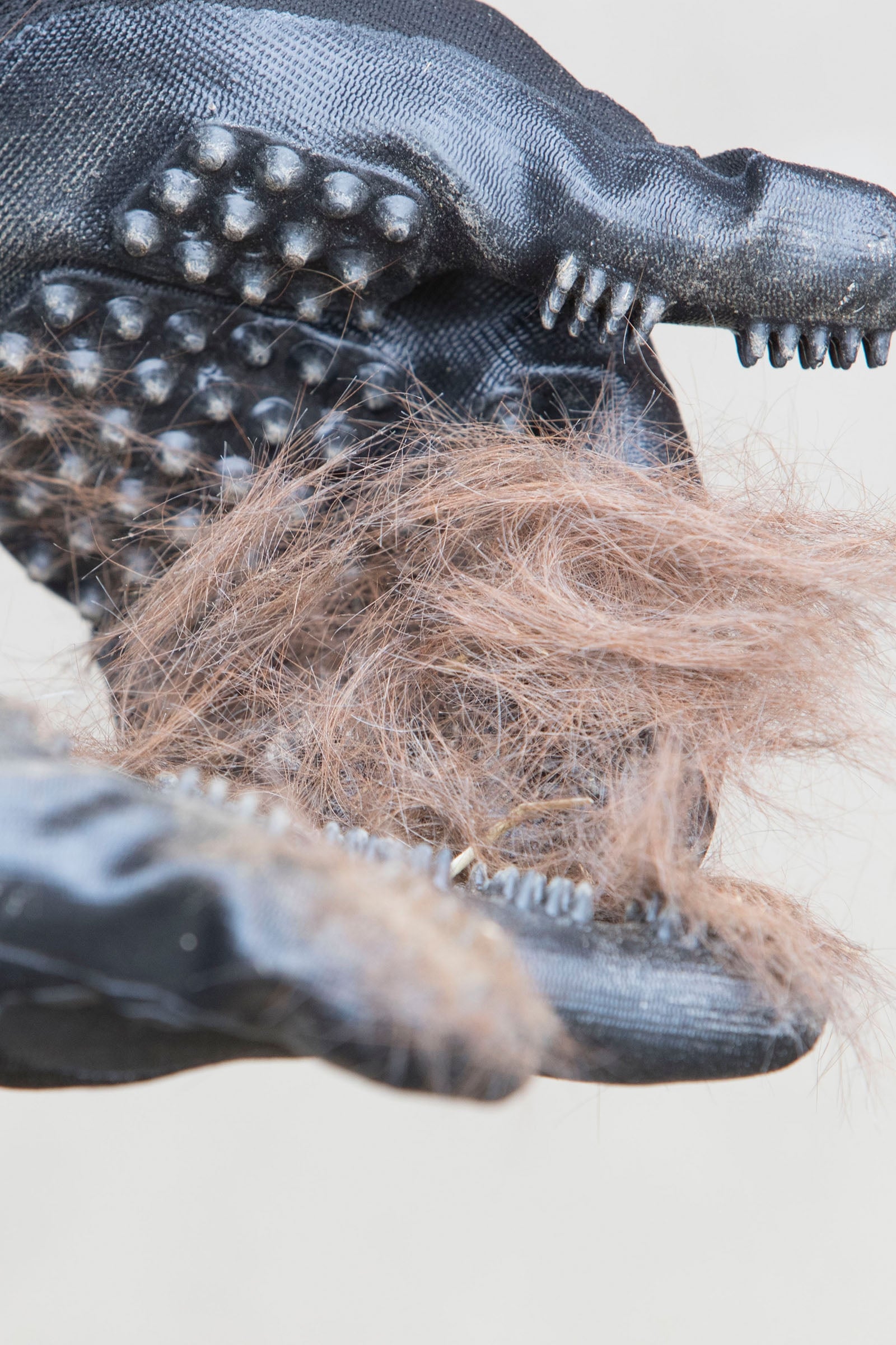 LeMieux Hands On Glove Horse Grooming Tools