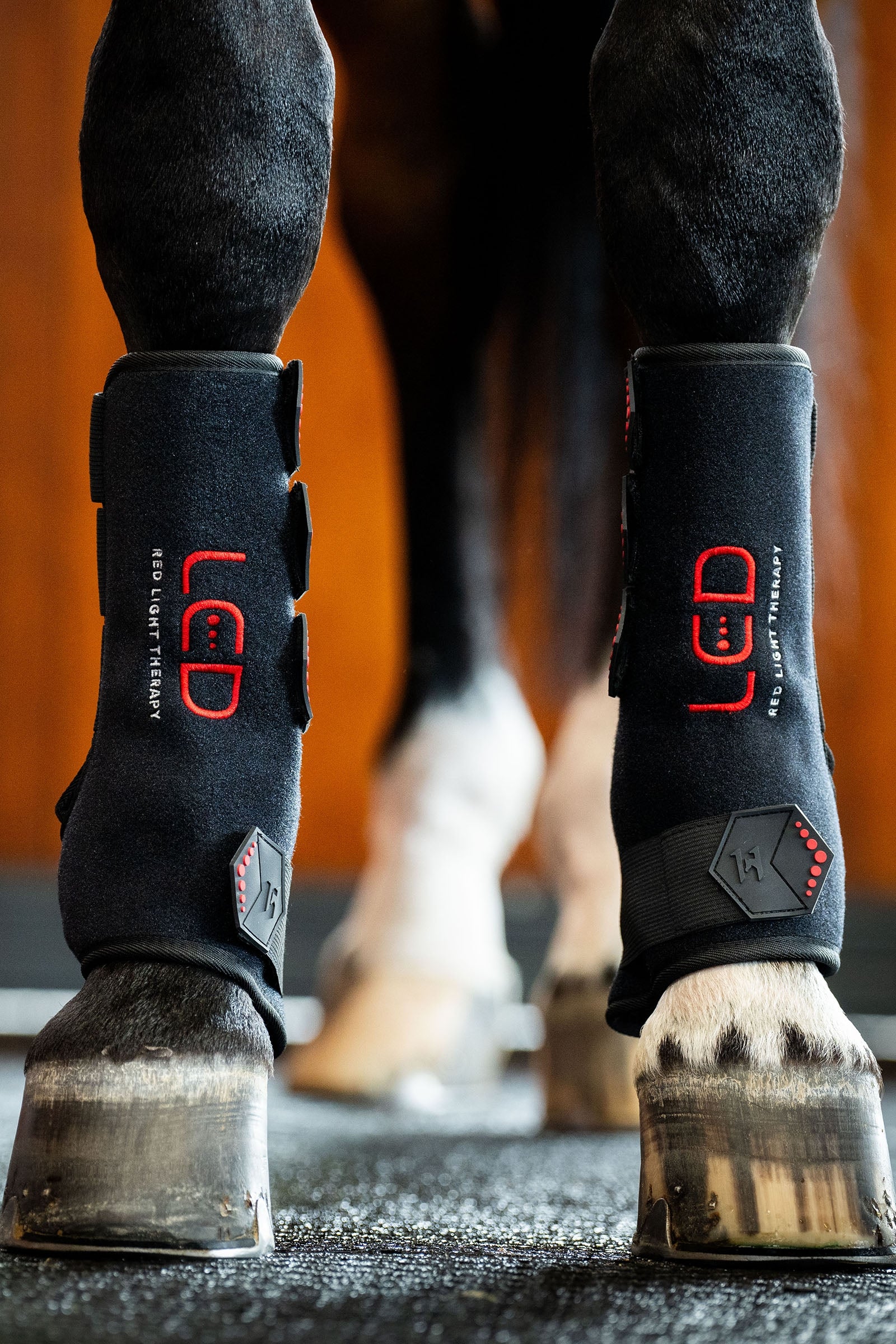 Horseware stinchiera terapeutica a LED con luce rossa (1 pz.) Leg & Hoof Protection