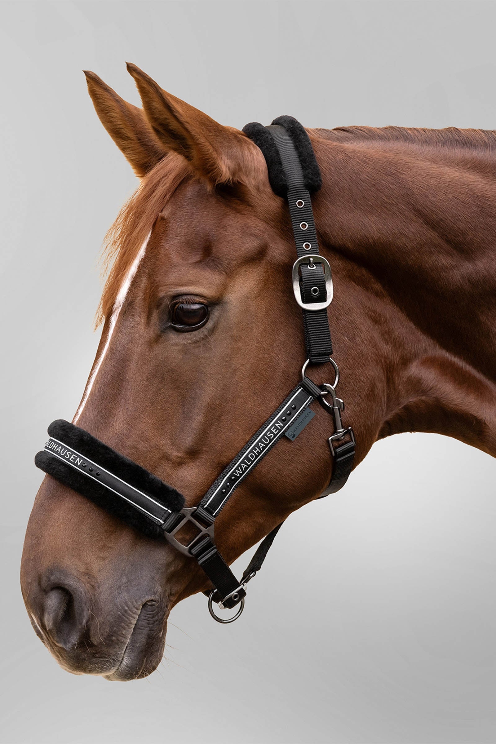 Waldhausen Elegant Halter Halters & Leads