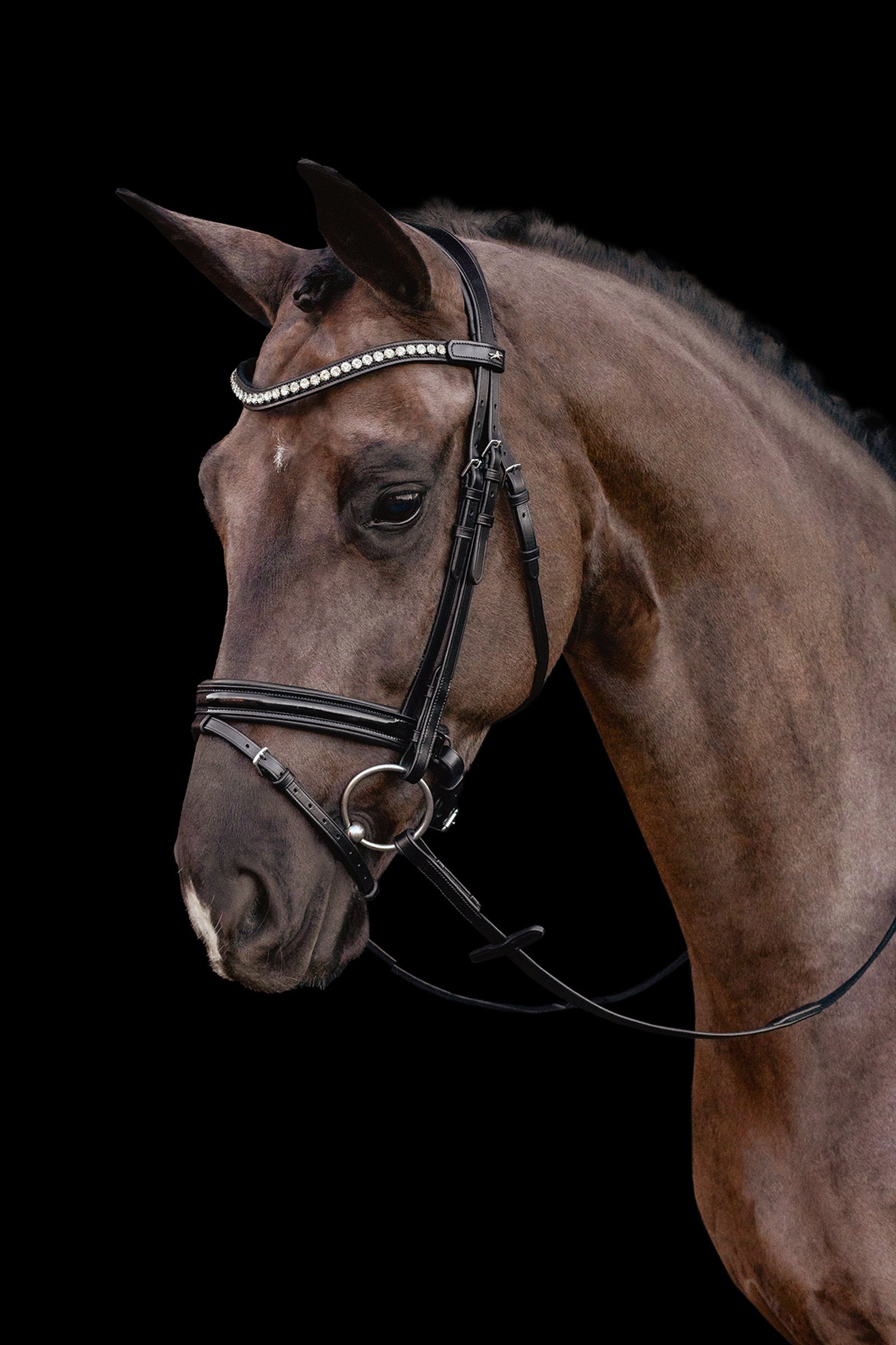 Schockemöhle Sports Palermo Bridle Bridles & Reins