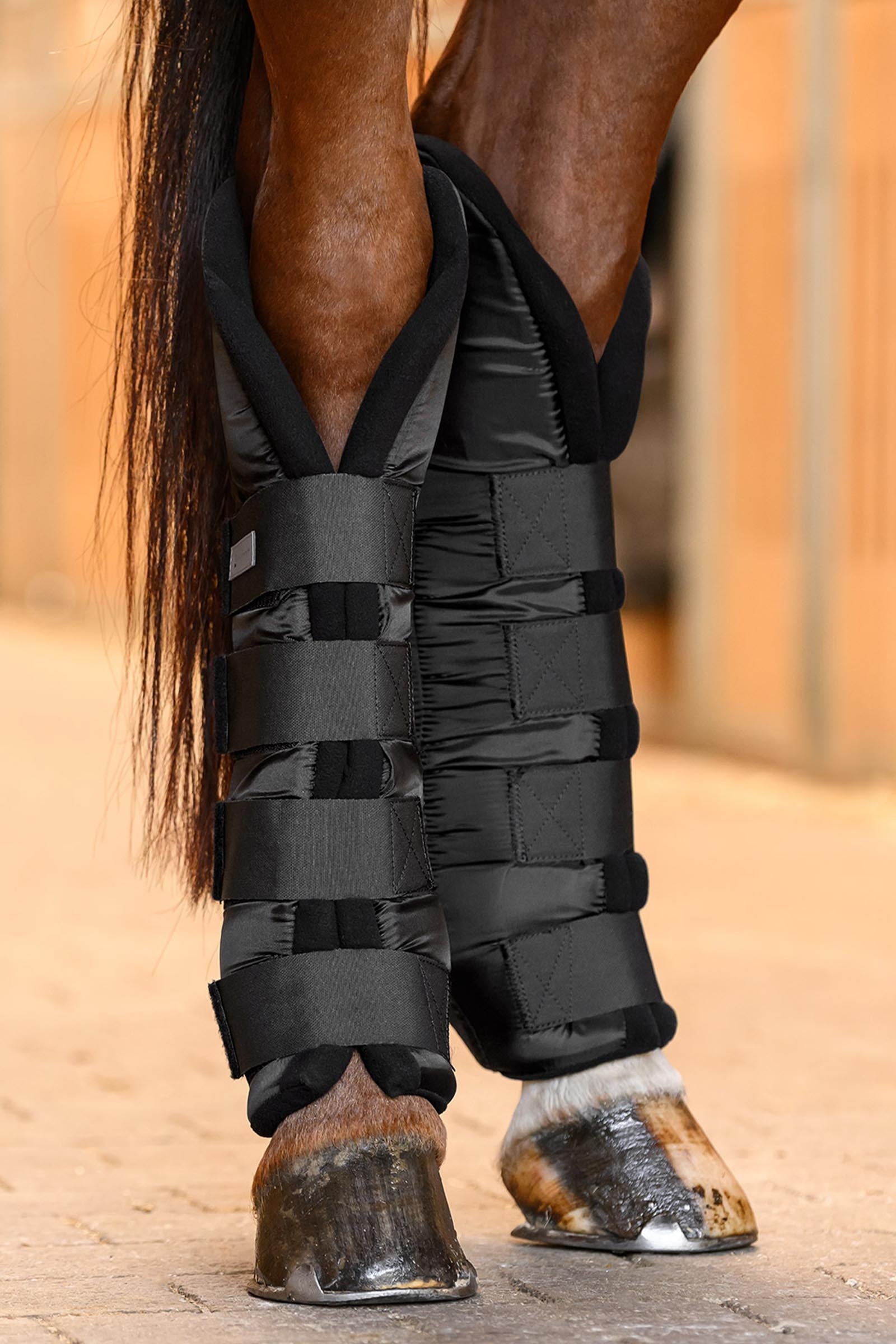 Waldhausen Stable & Transport Boots with Joint Support, hind Leg & Hoof Protection