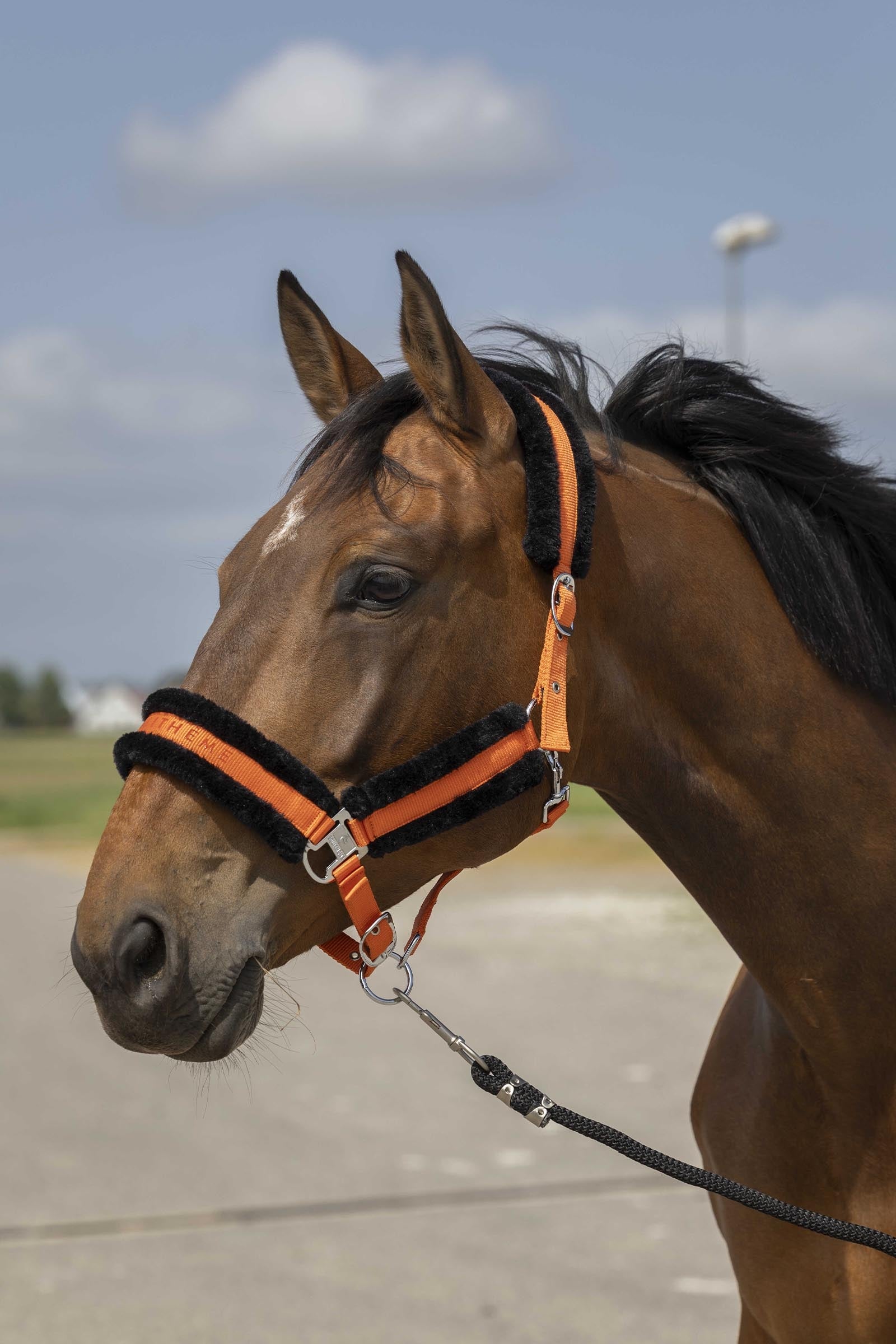 EQUITHÈME Nylon Mouton cavezza Cavezze e guinsagli
