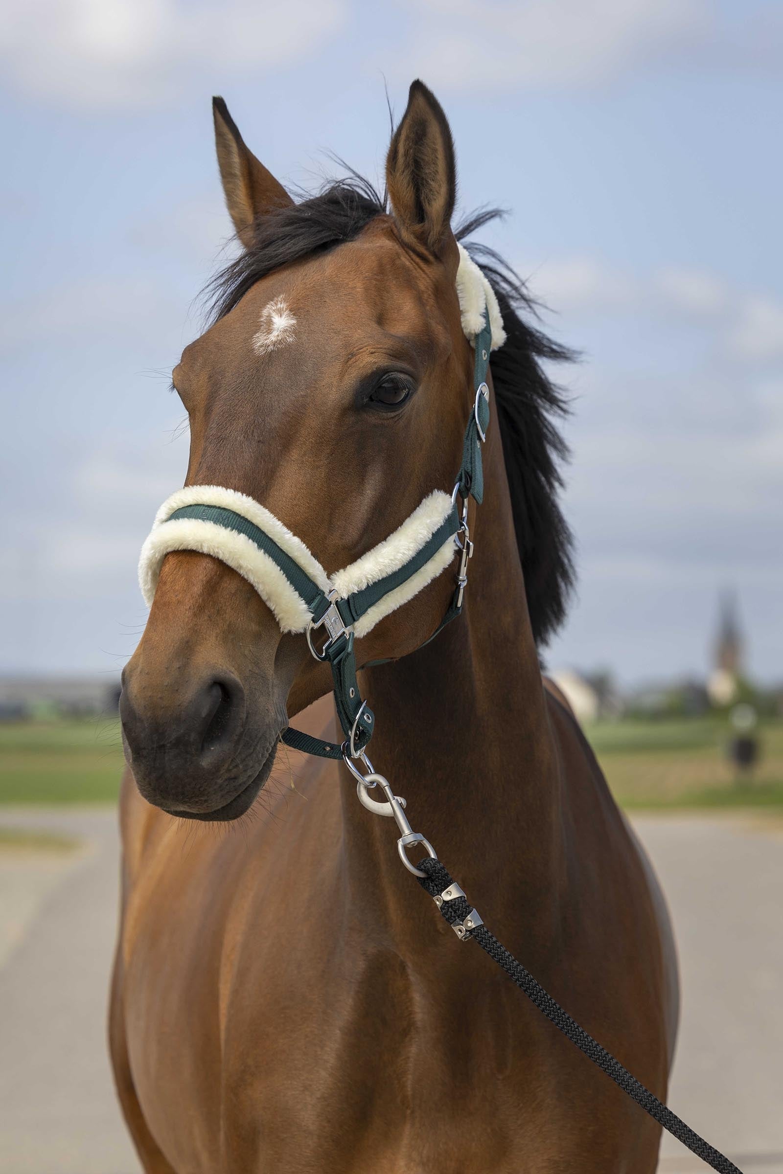EQUITHÈME Nylon Mouton cavezza Cavezze e guinsagli