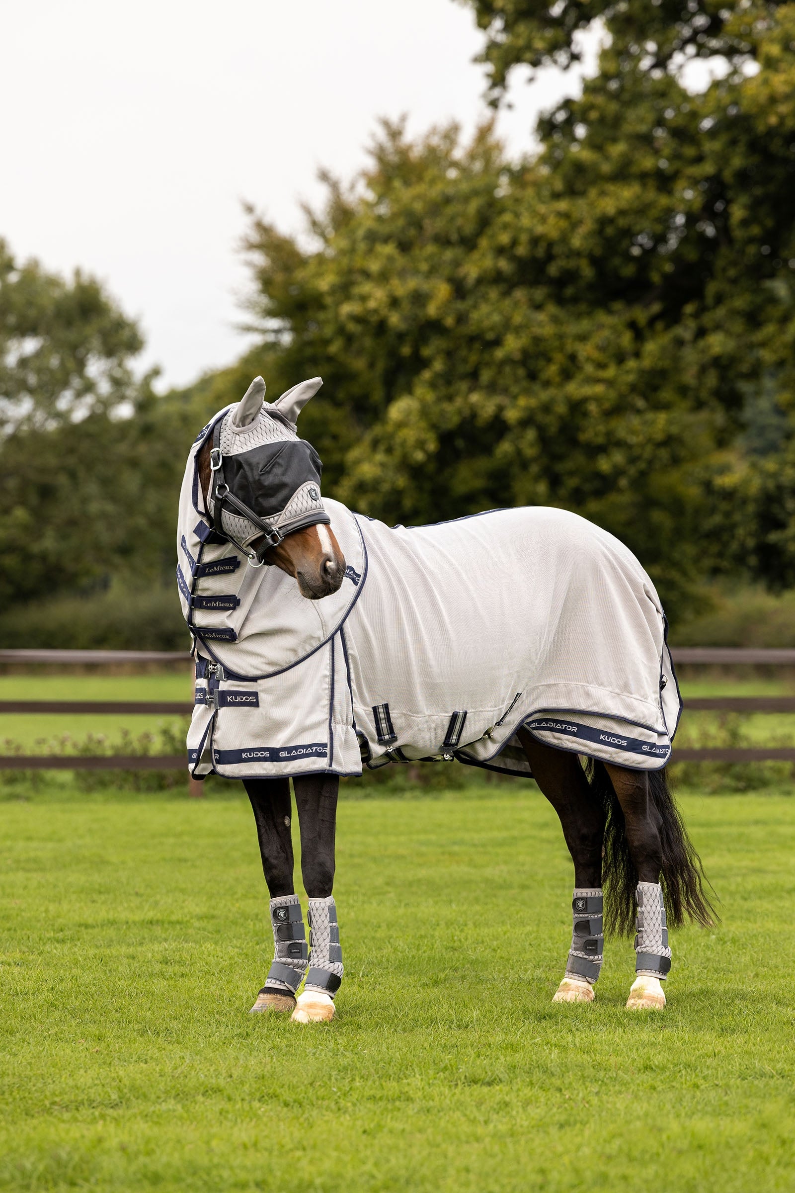 LeMieux Kudos Gladiator coperta antimosche Coperte per cavalli