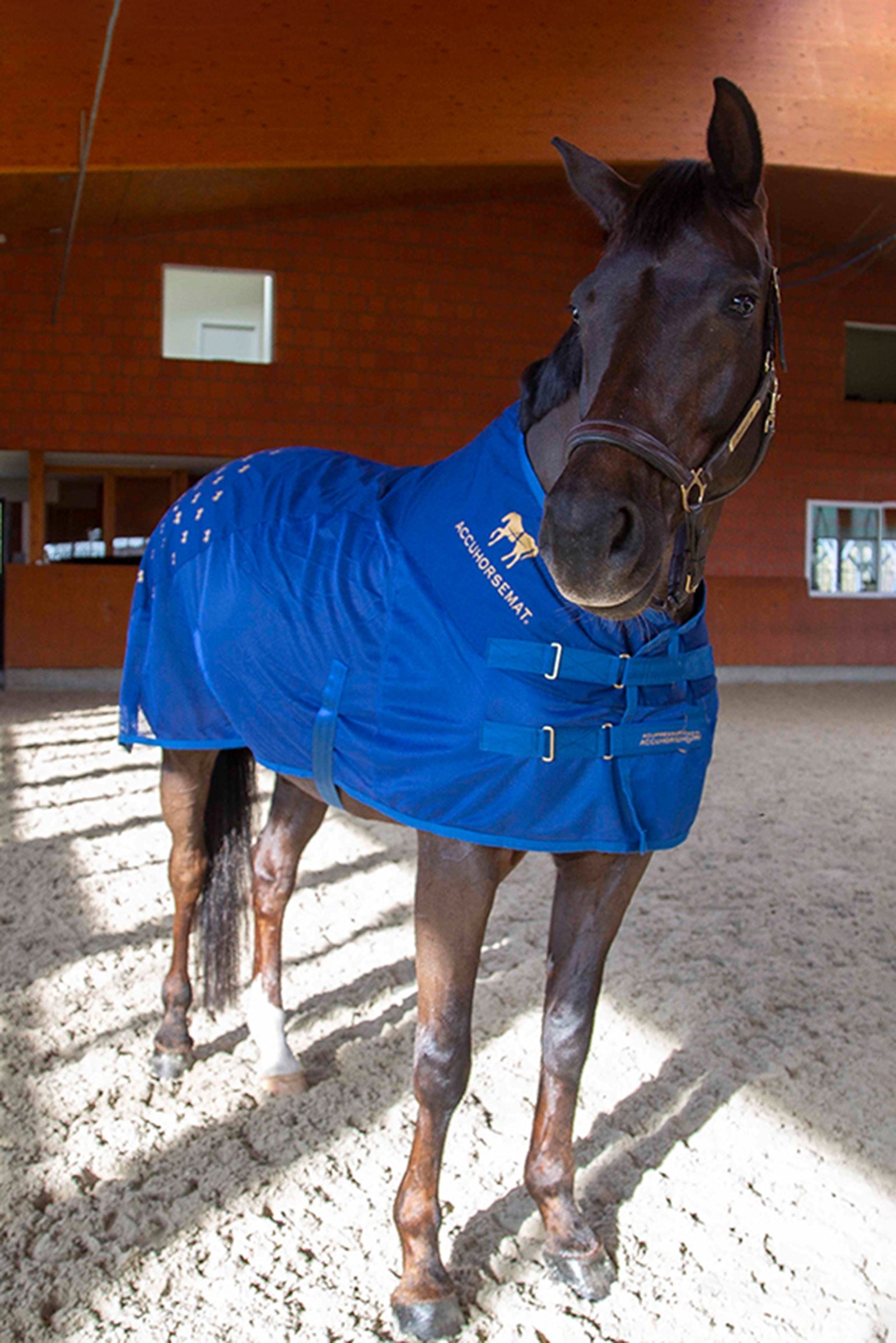 Accuhorsemat Set coperta raffreddante Coperte per cavalli