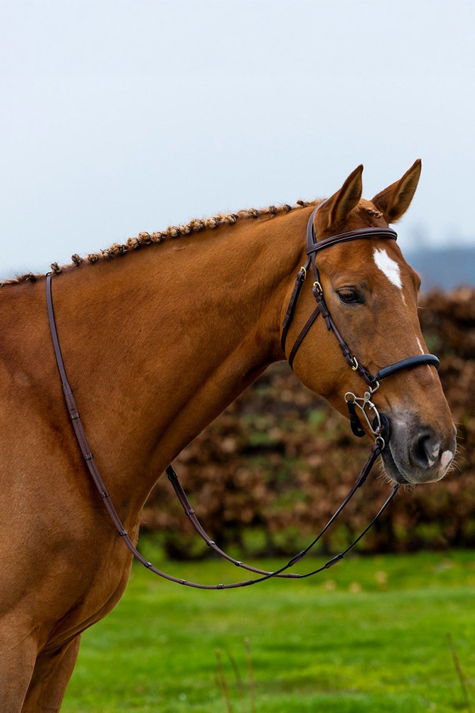 Trust Equestrian Hickstead Hackamore Bridle Bridles & Reins