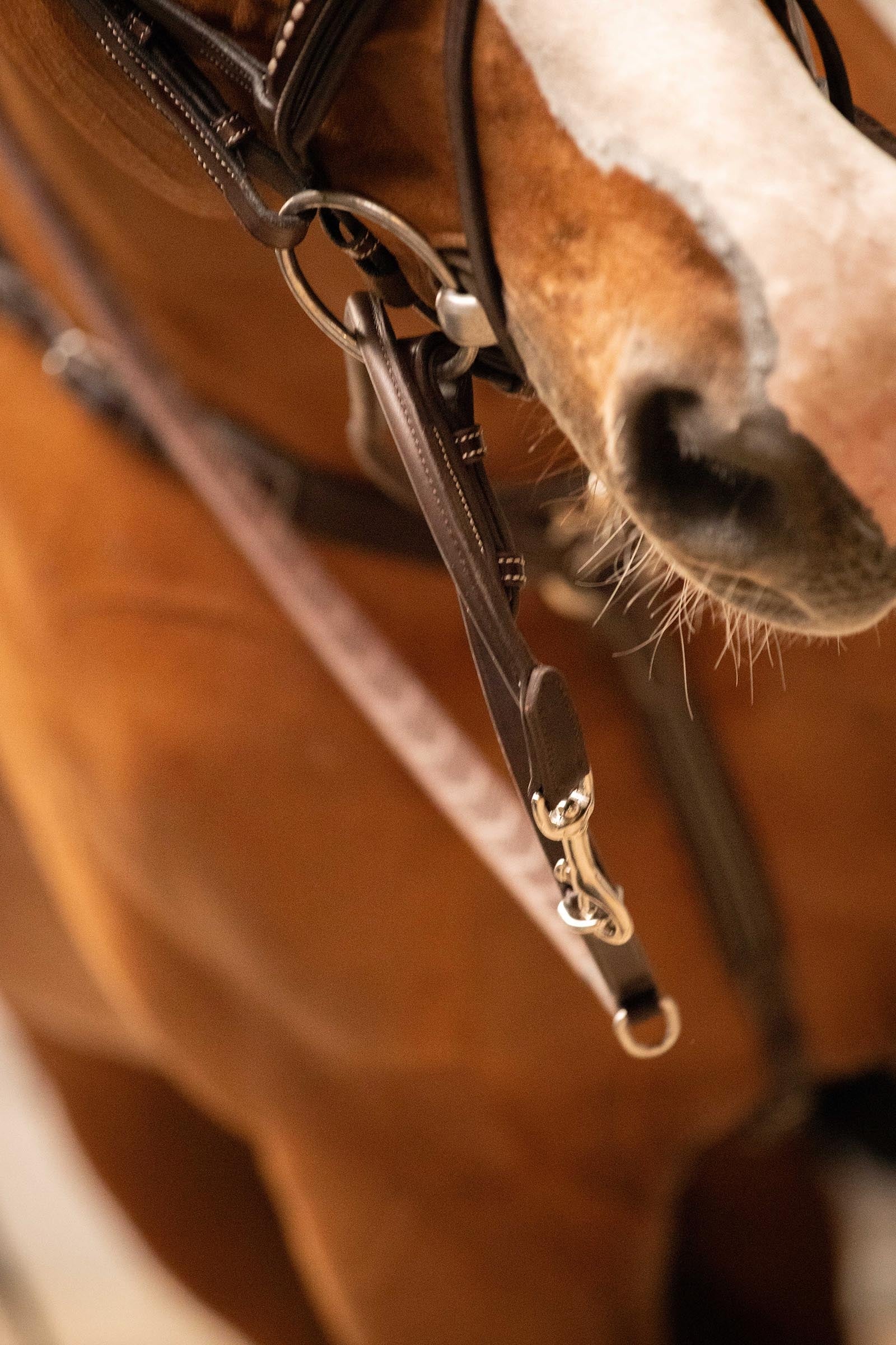 PENELOPE Howlett Training Aid Bridles & Reins