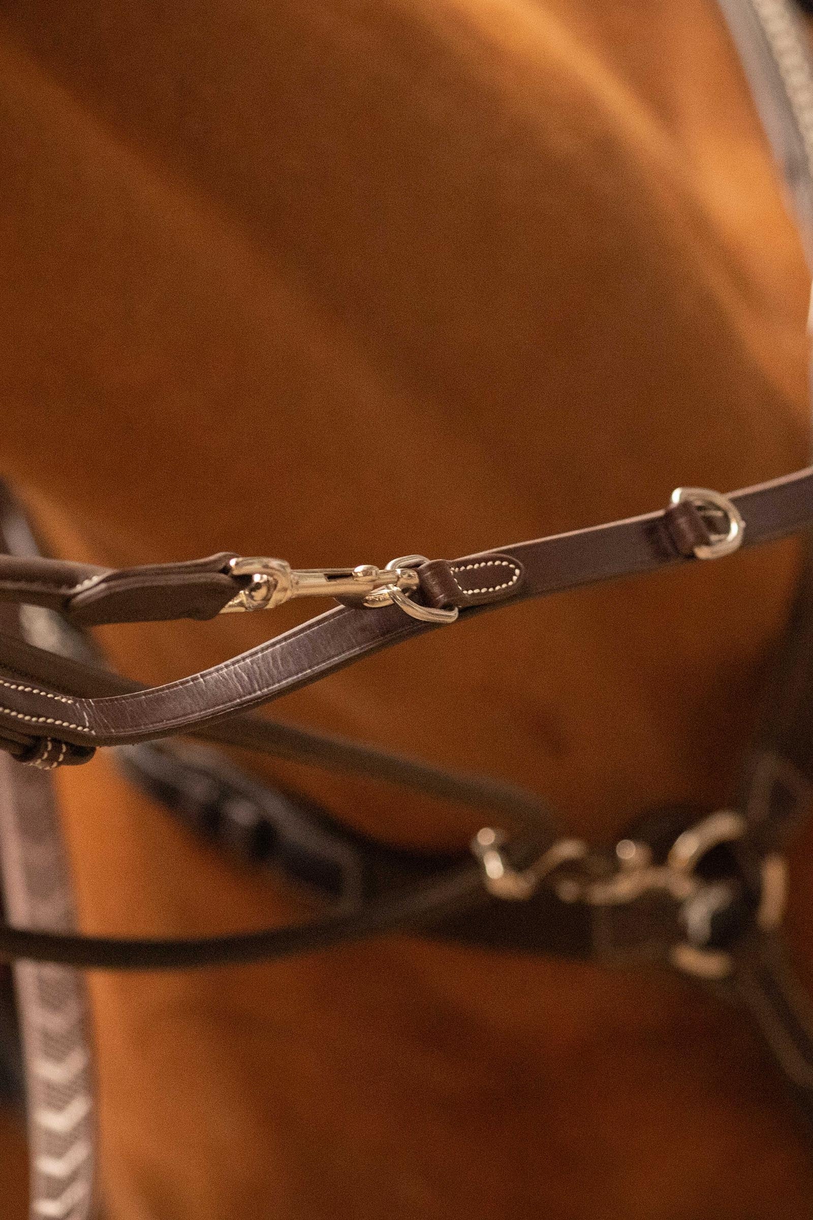 PENELOPE Howlett Training Aid Bridles & Reins
