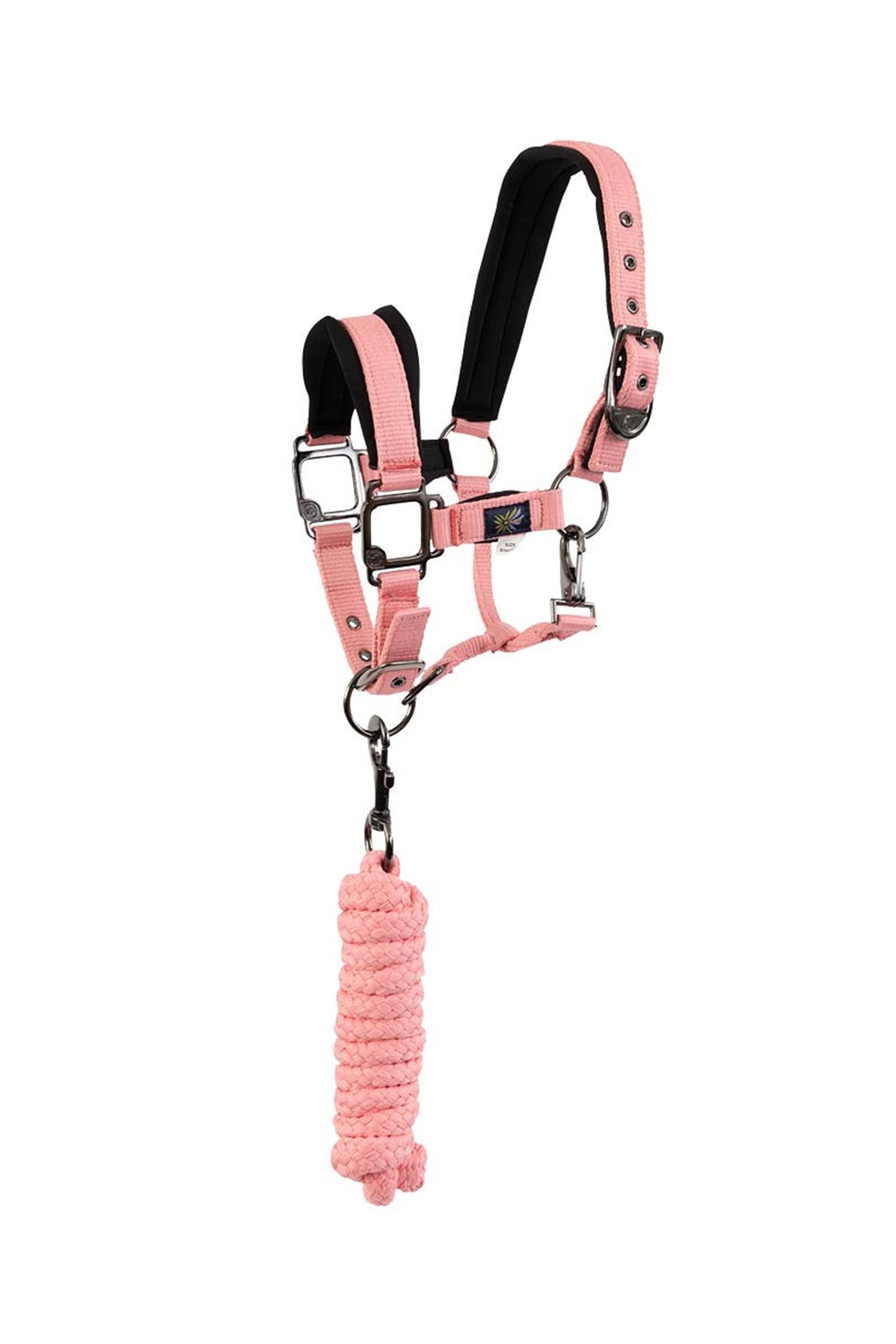 BR capezza per pony / mini horse con lunghina Cavezze e guinsagli