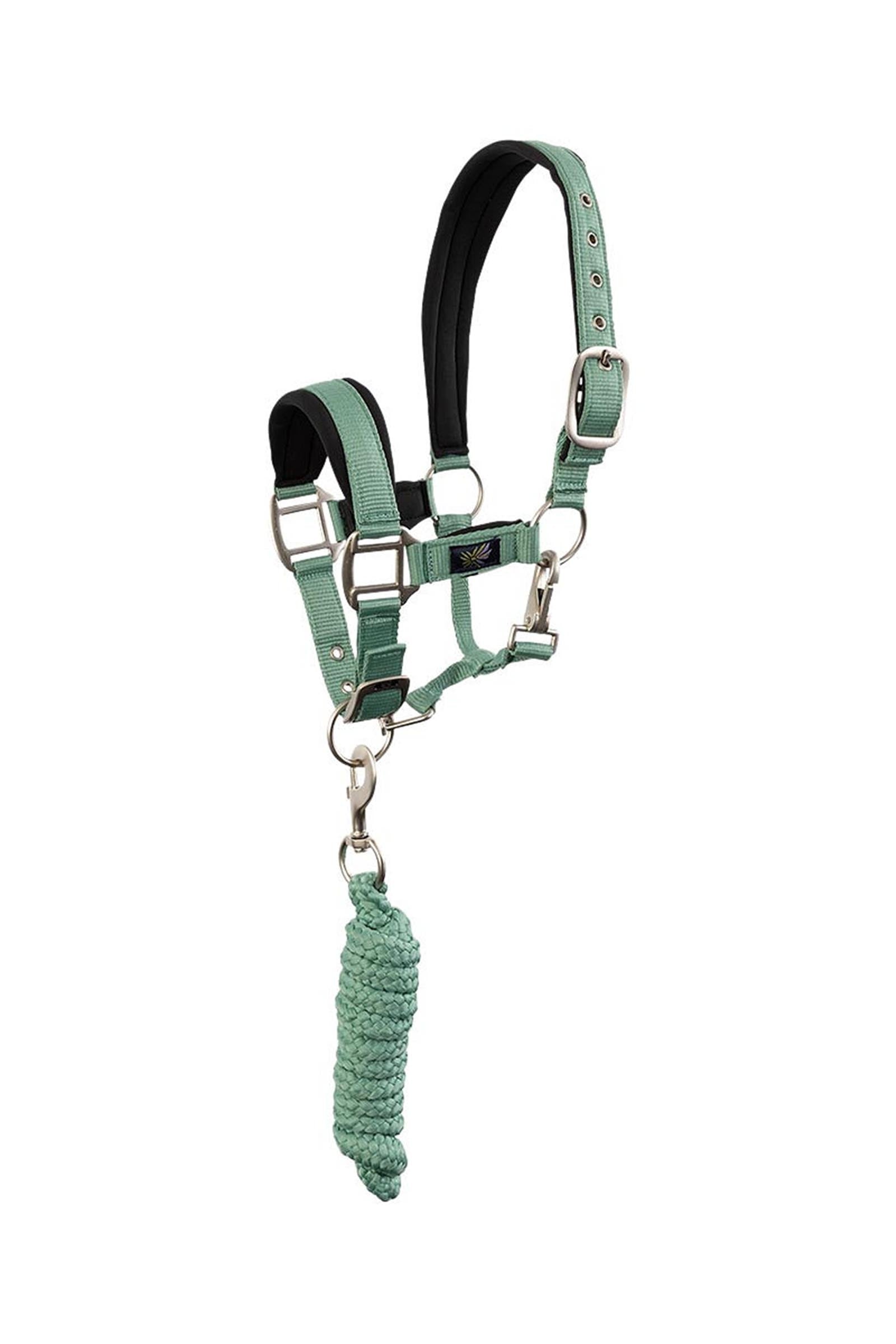 BR capezza per pony / mini horse con lunghina Cavezze e guinsagli