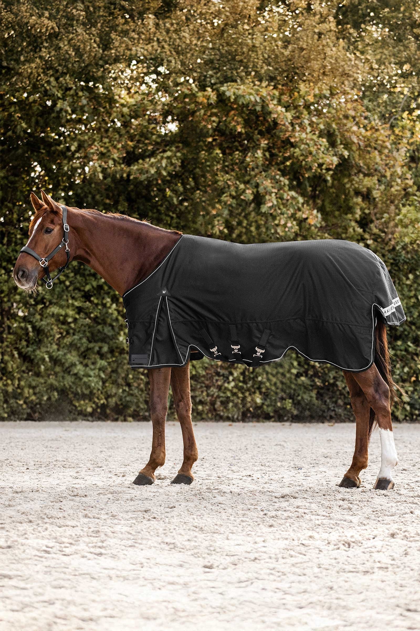 Waldhausen Scandic Coperta da turnout leggera, 200 g Coperte per cavalli