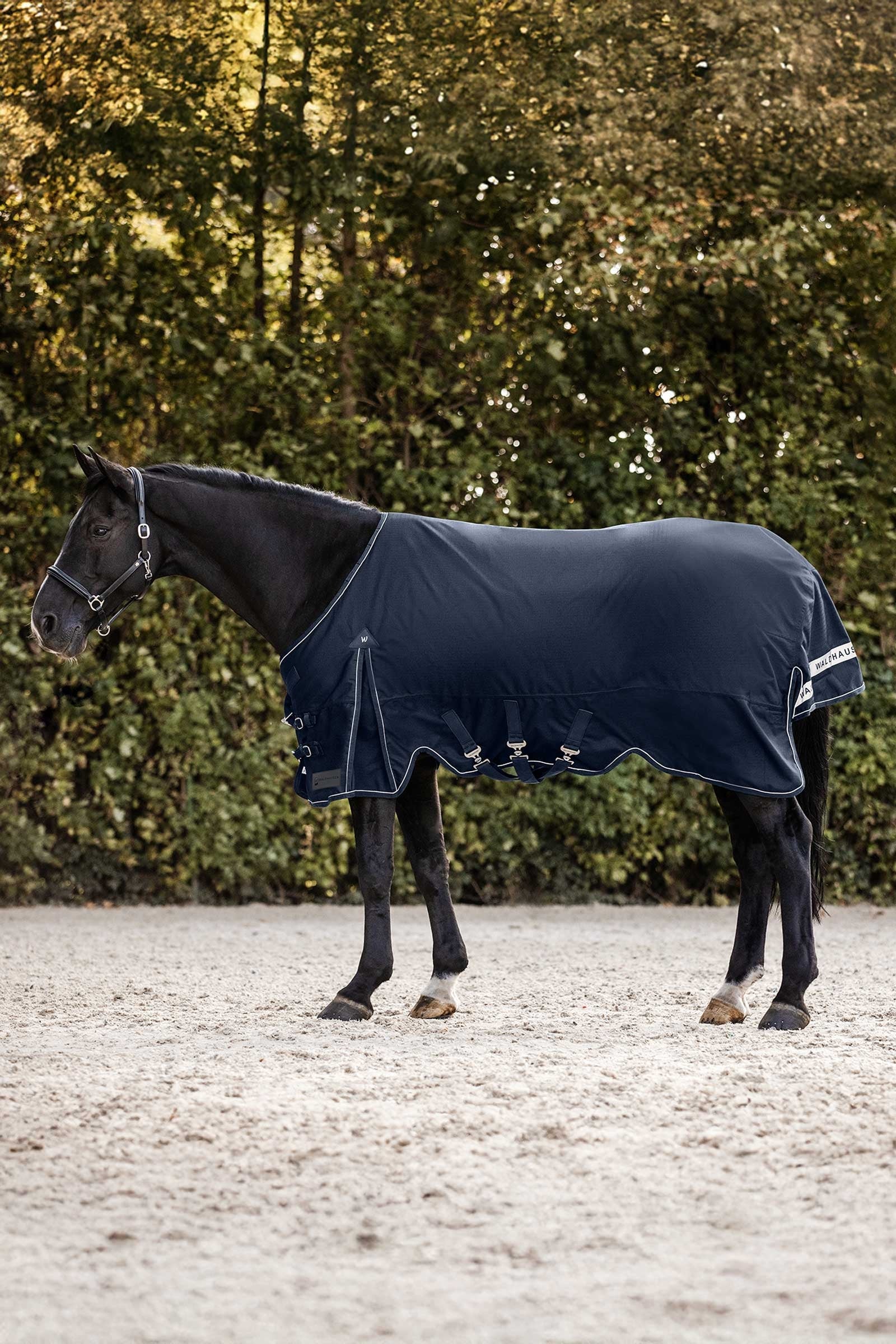 Waldhausen Scandic Coperta da turnout leggera, 200 g Coperte per cavalli