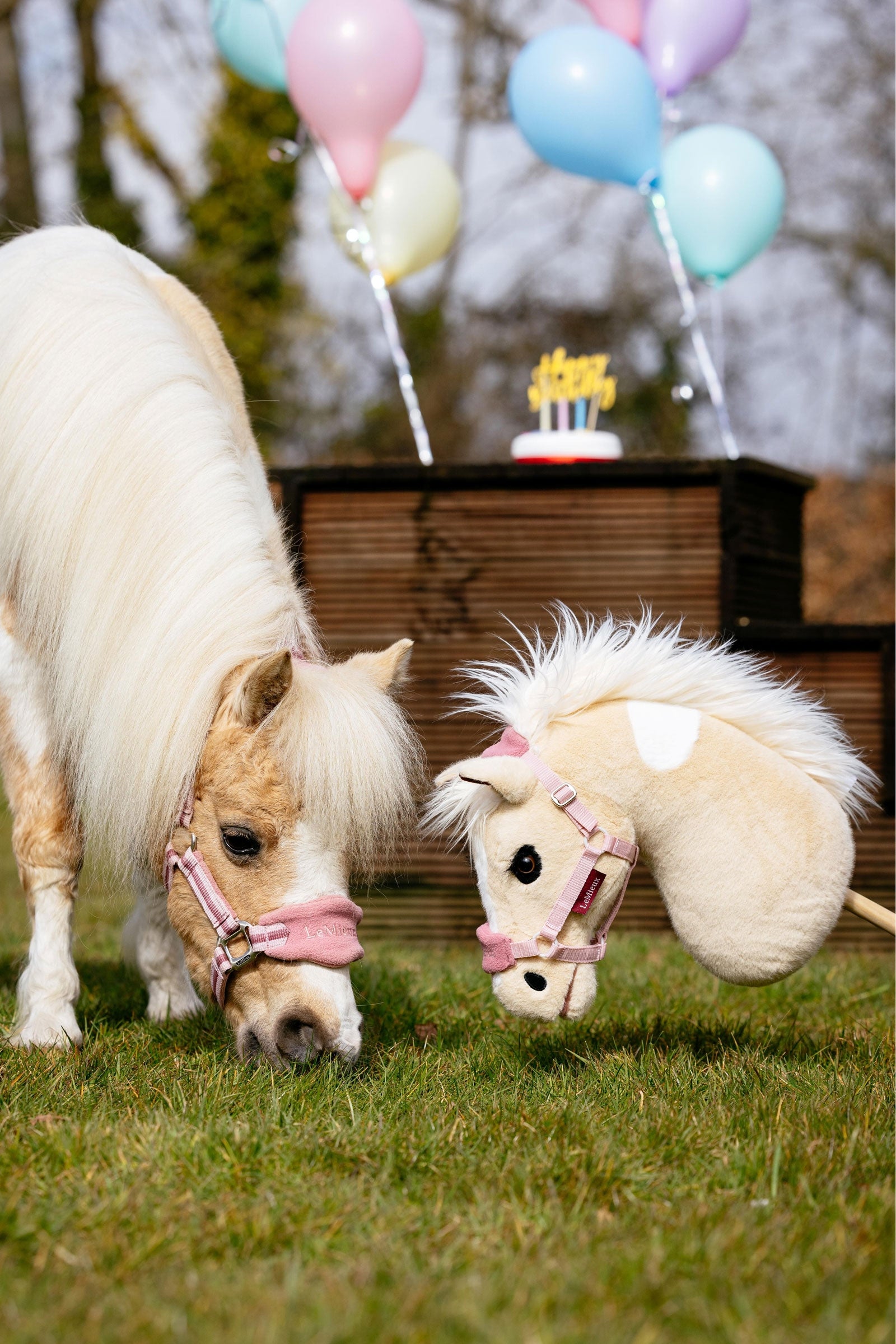 LeMieux Hobby Horse Gifts & Toys