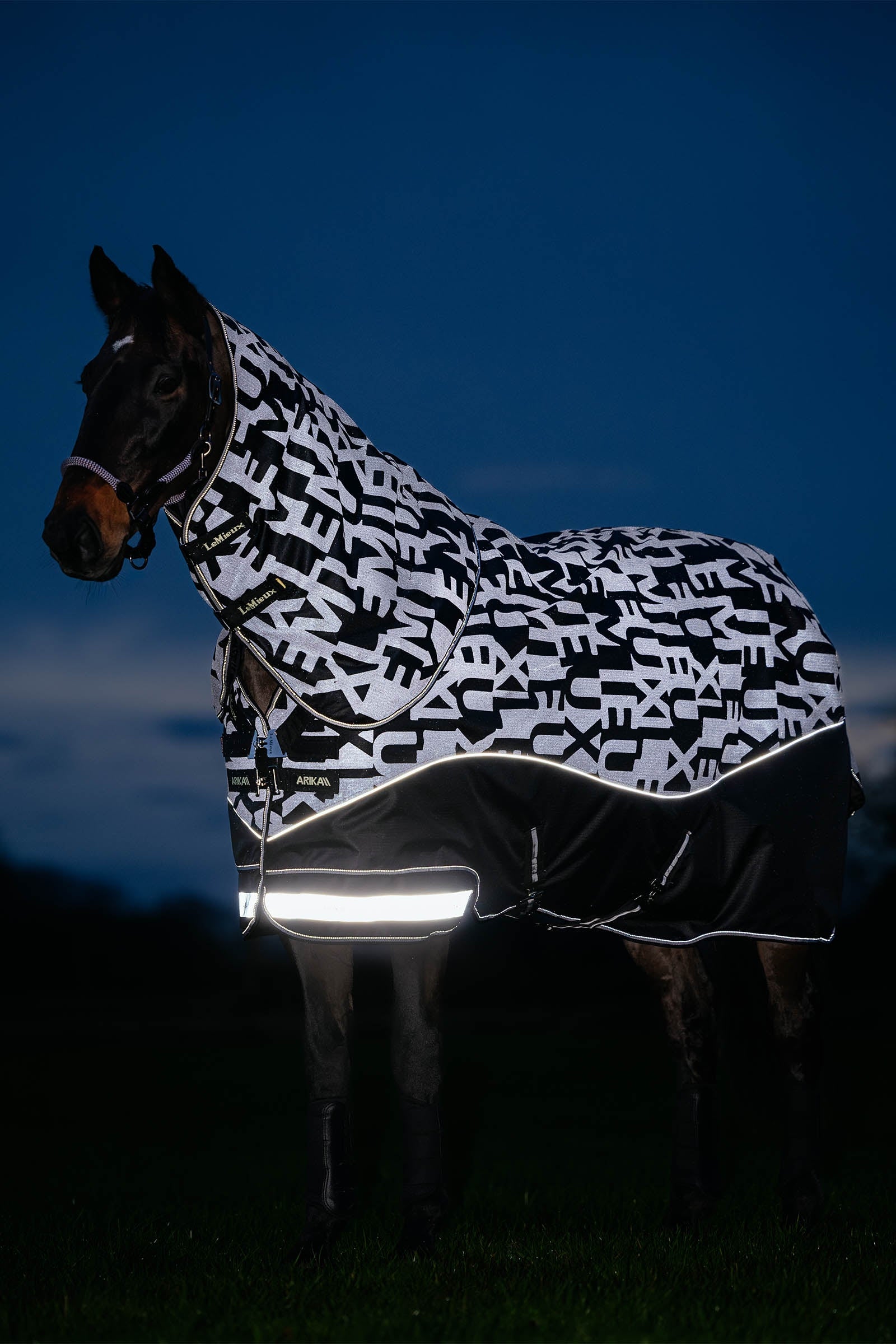 LeMieux Arika Reflective Turnout Rug With Detachable Neck, 100 g Coperte per cavalli