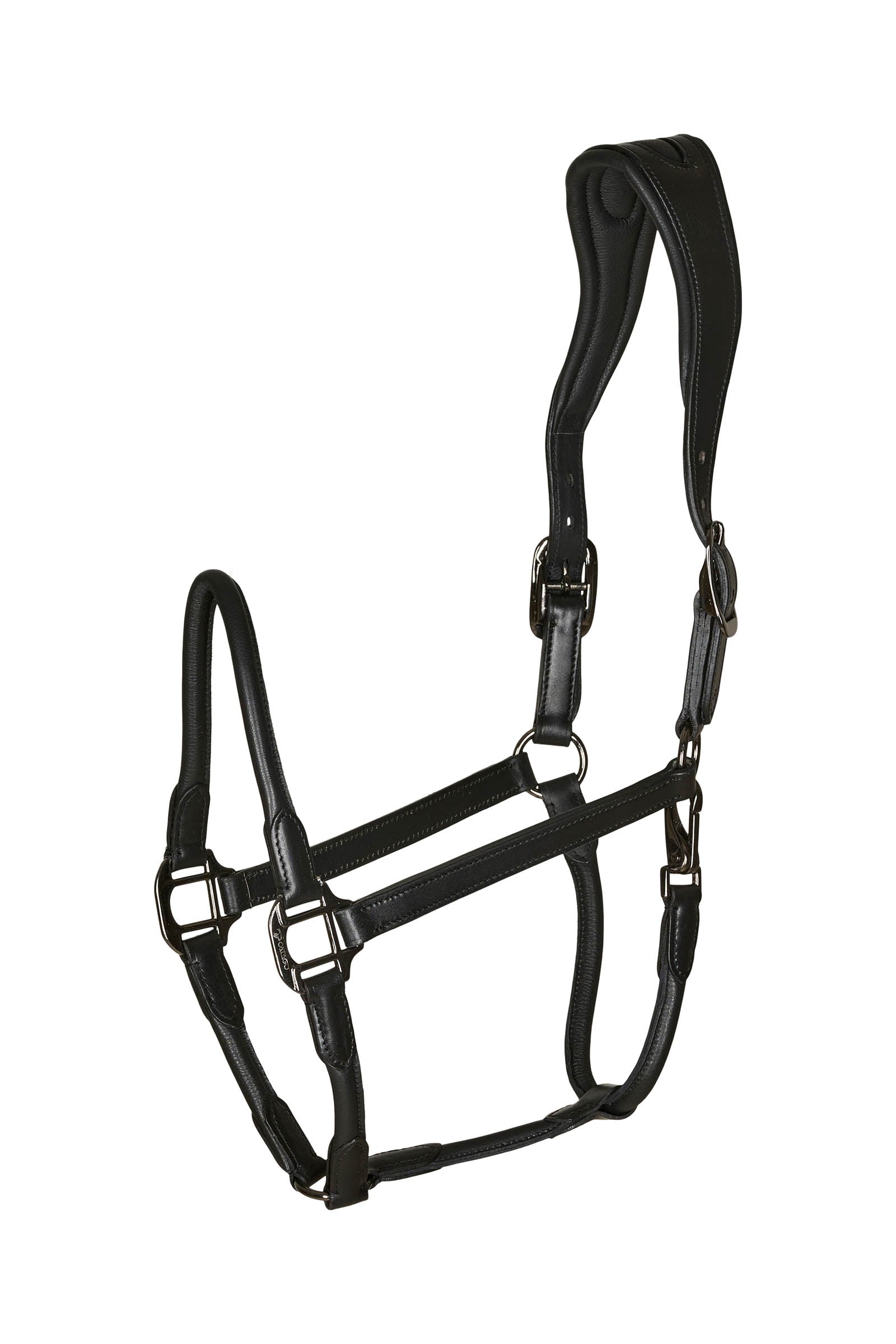 Catago leather halter with round-stitched noseband Cavezze e guinsagli
