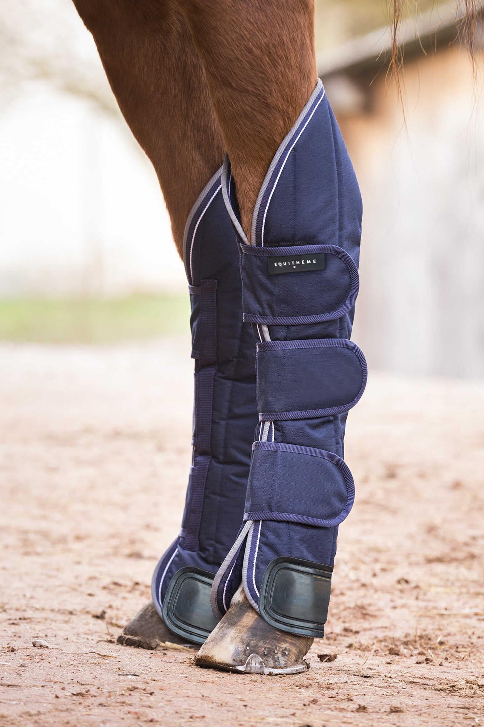 Equi Theme EQUITHÈME TYREX 600D paratendini da trasporto rinforzati Leg & Hoof Protection