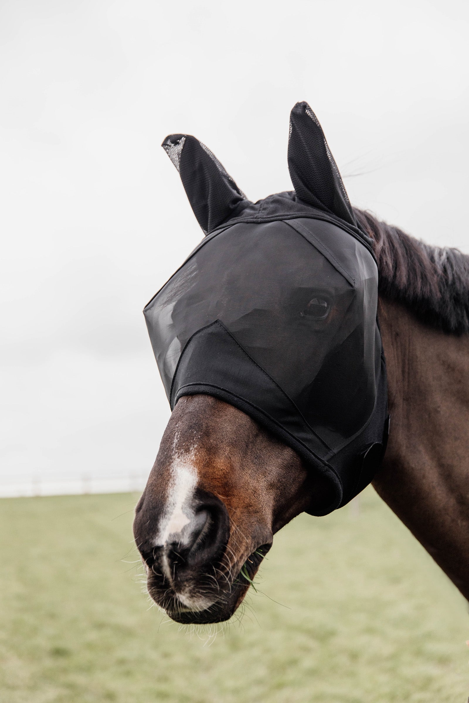 Kentucky Horsewear Classic Cappuccio antimosche con orecchie Protezione antimosche per cavalli
