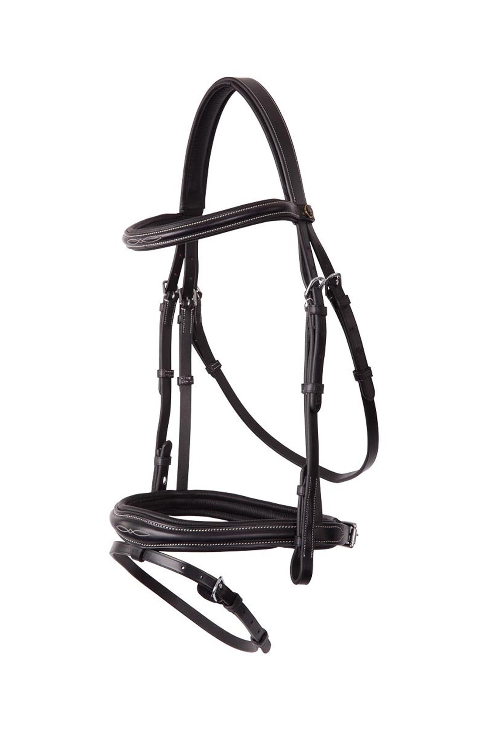 BR Cheltenham testiera Briglie & redini