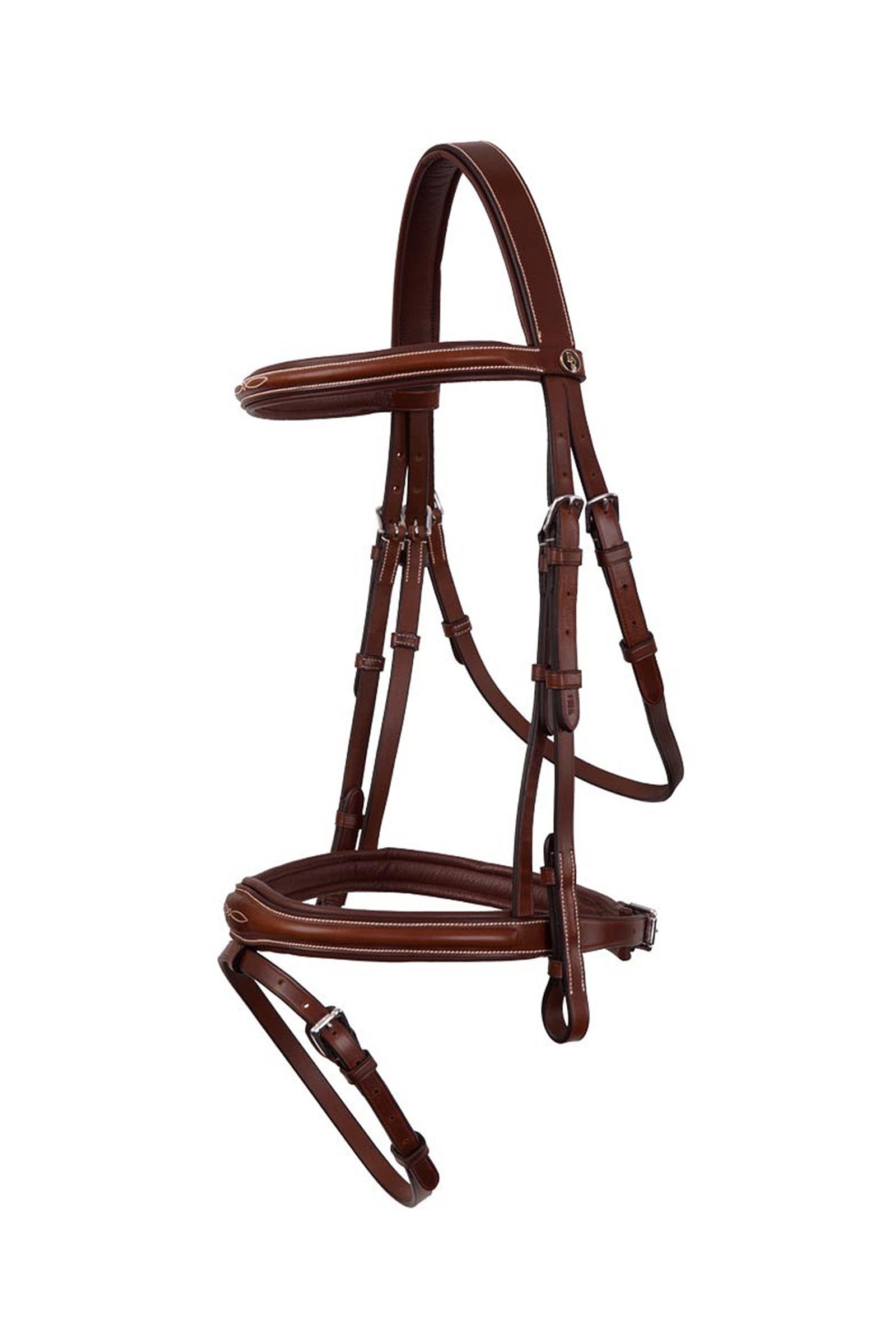BR Cheltenham testiera Briglie & redini