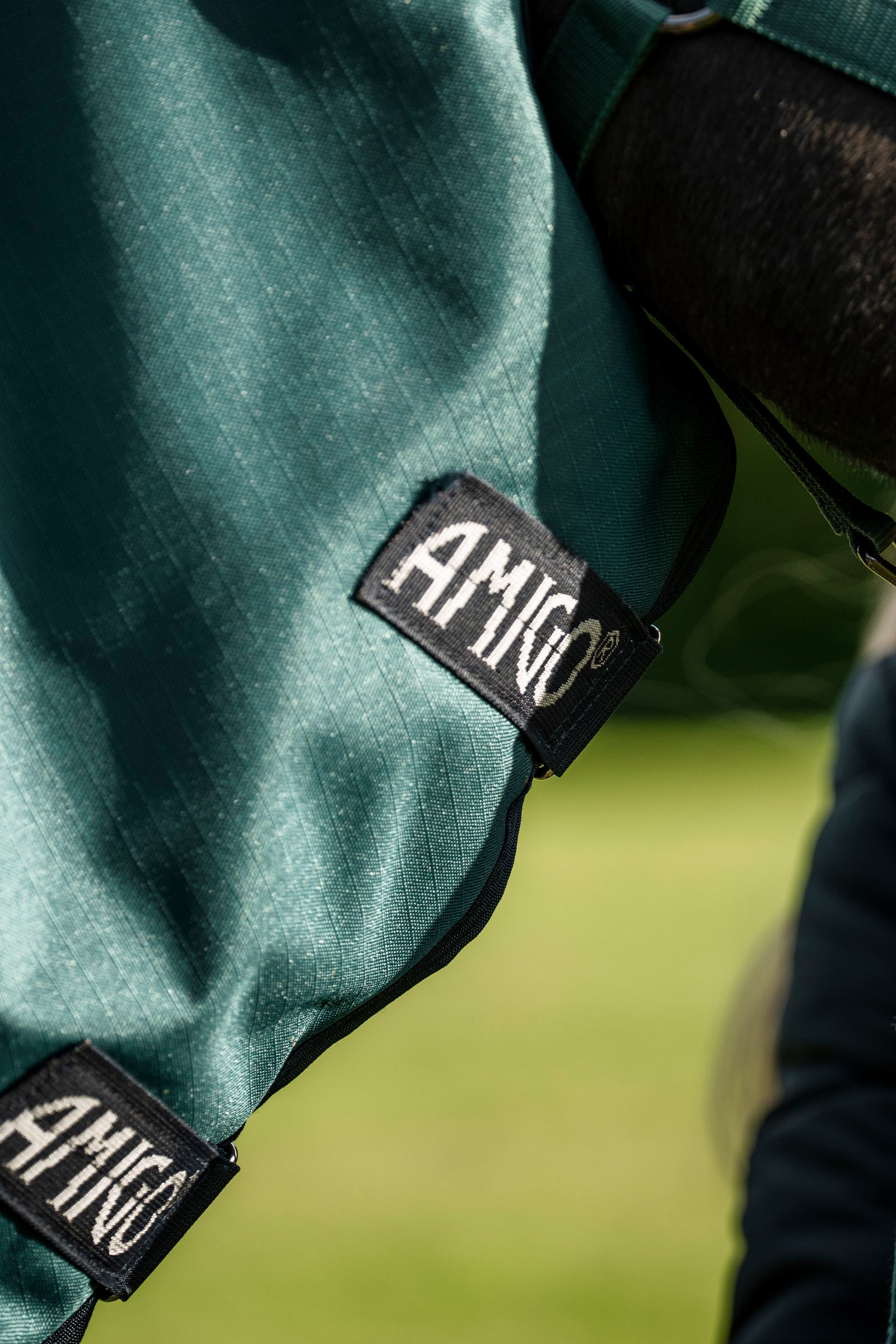 Horseware Amigo Ripstop 900D Plus Pony Turnout Rug, 100 g Horse Rugs