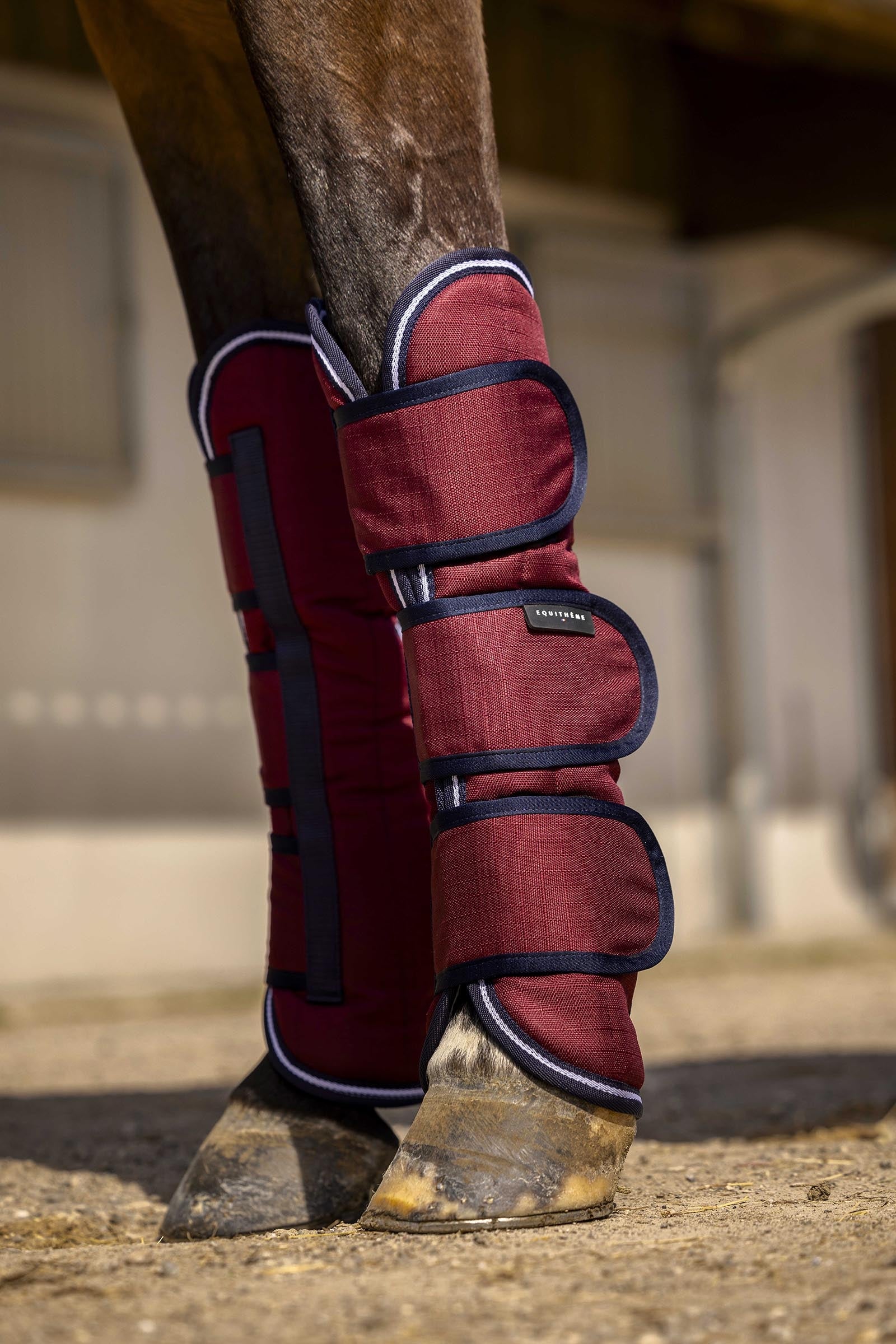 Equi Theme EQUITHÈME TYREX Aisance 1200D paratendini da trasporto Leg & Hoof Protection