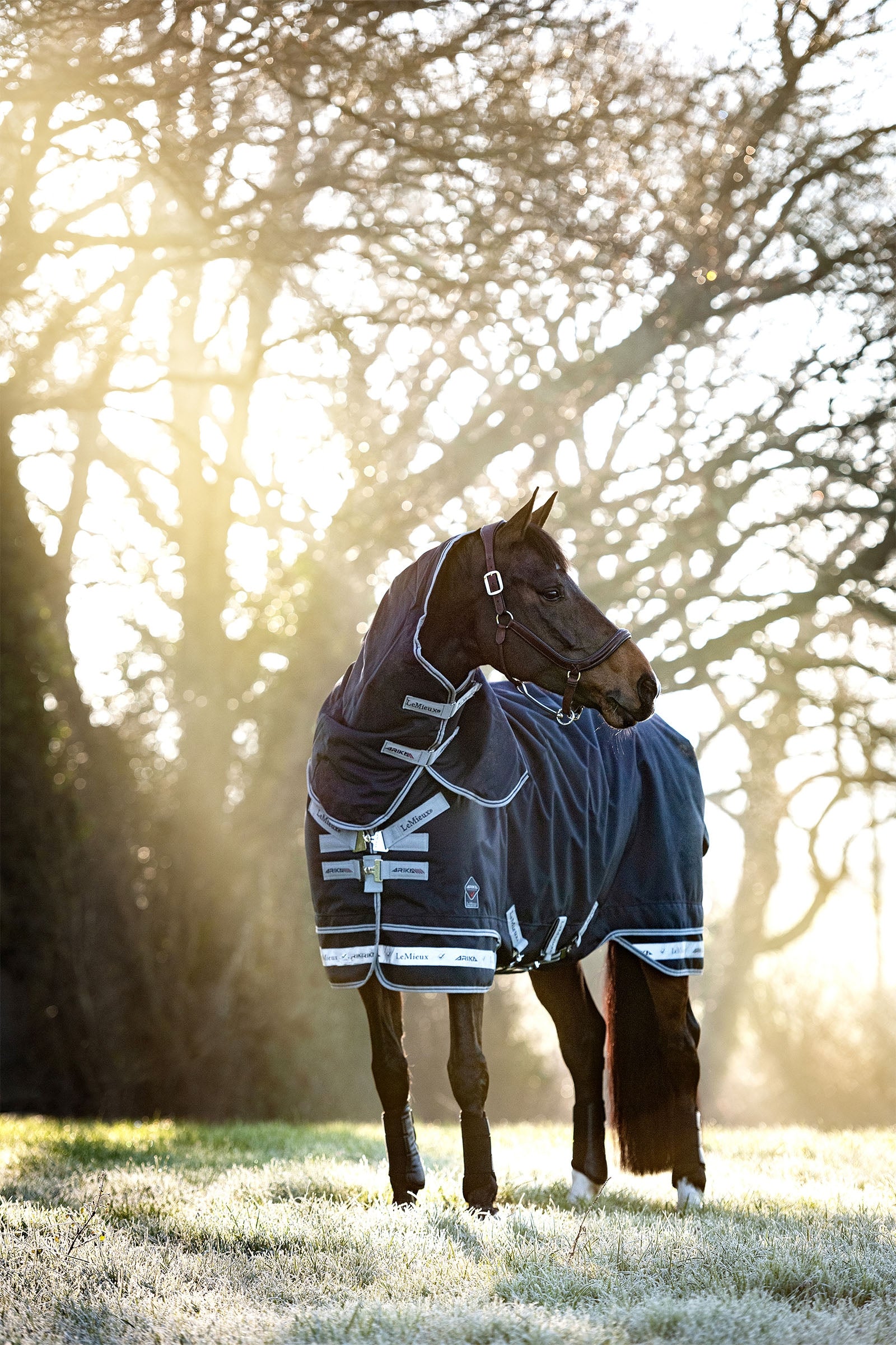 LeMieux Arika Storm-Tek 350g Horse Rugs