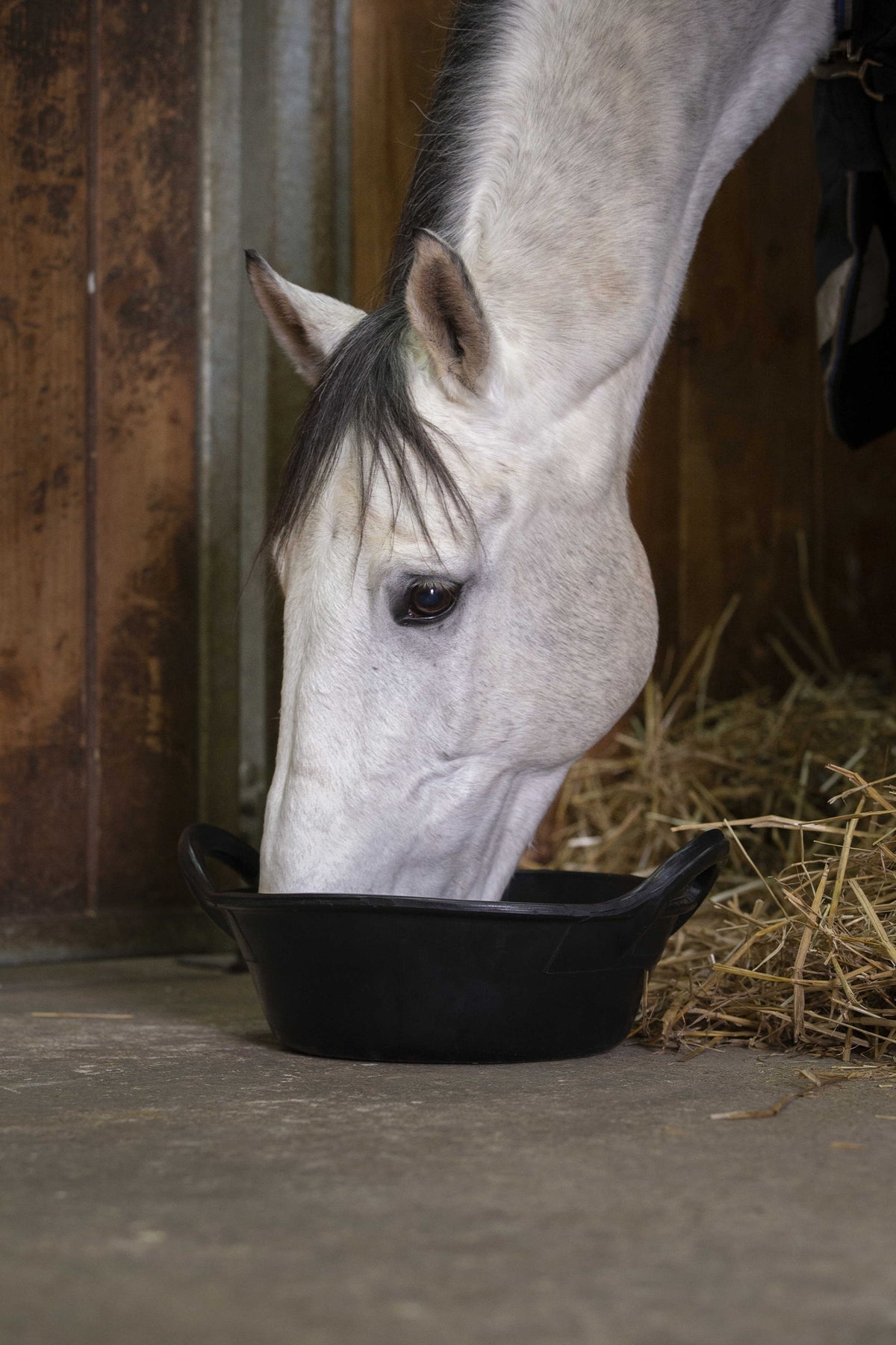 HIPPOTONIC Flexible Food Bucket, 12 L Horse Feeders & Waterers