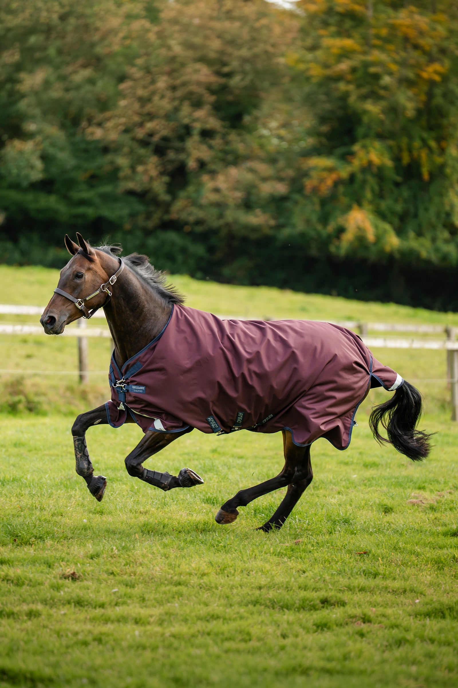 Horseware Amigo 1200D Turnout Rug, 0 g Horse Rugs