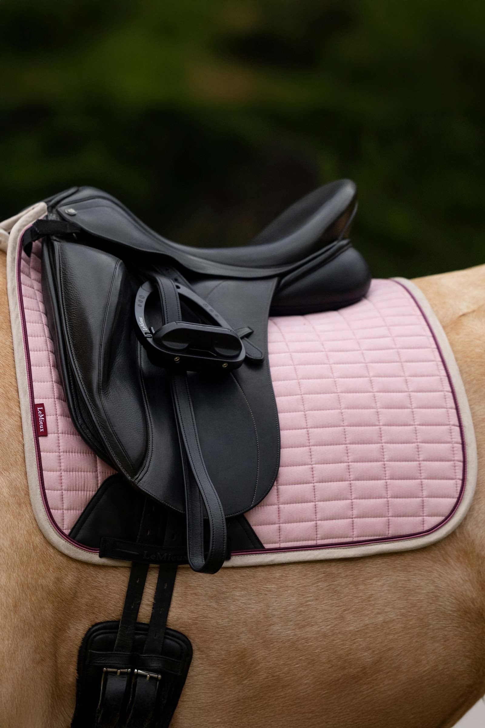 LeMieux Suede Square Dressage Saddle Pad Saddle Pads