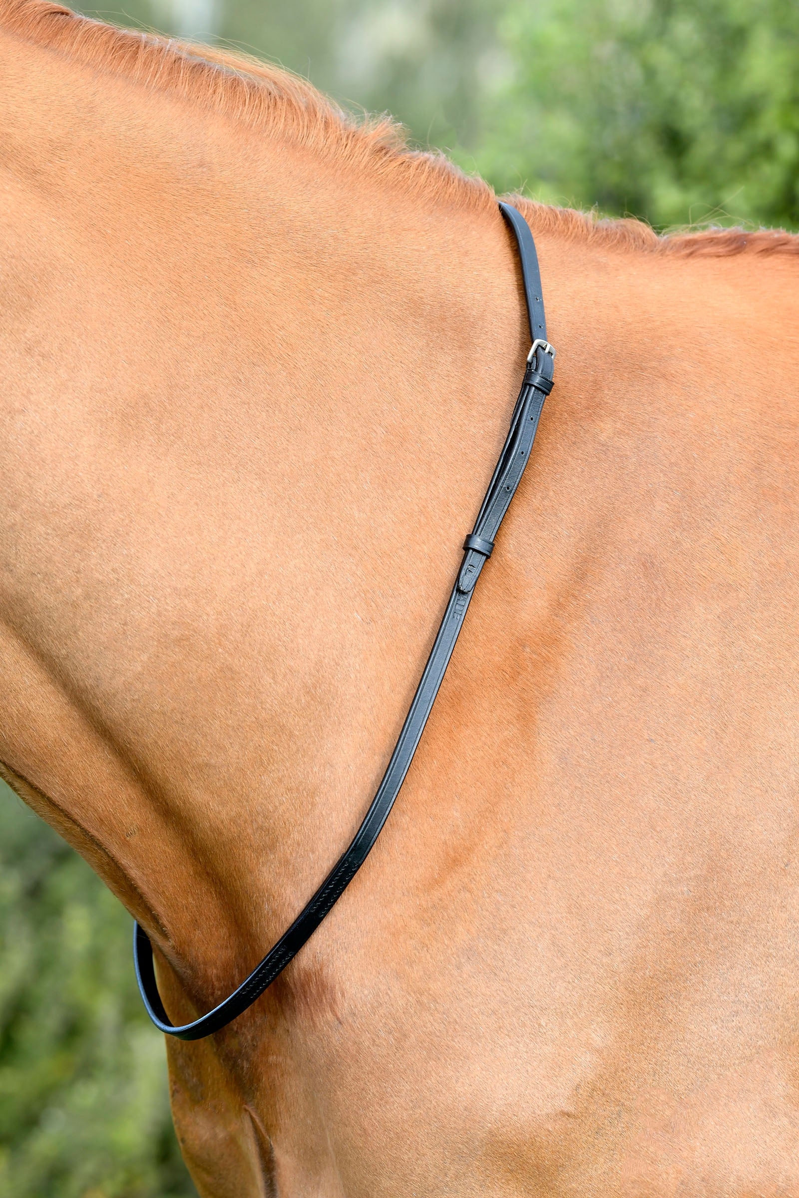 Kincade Classic collarino in cuoio Briglie & redini