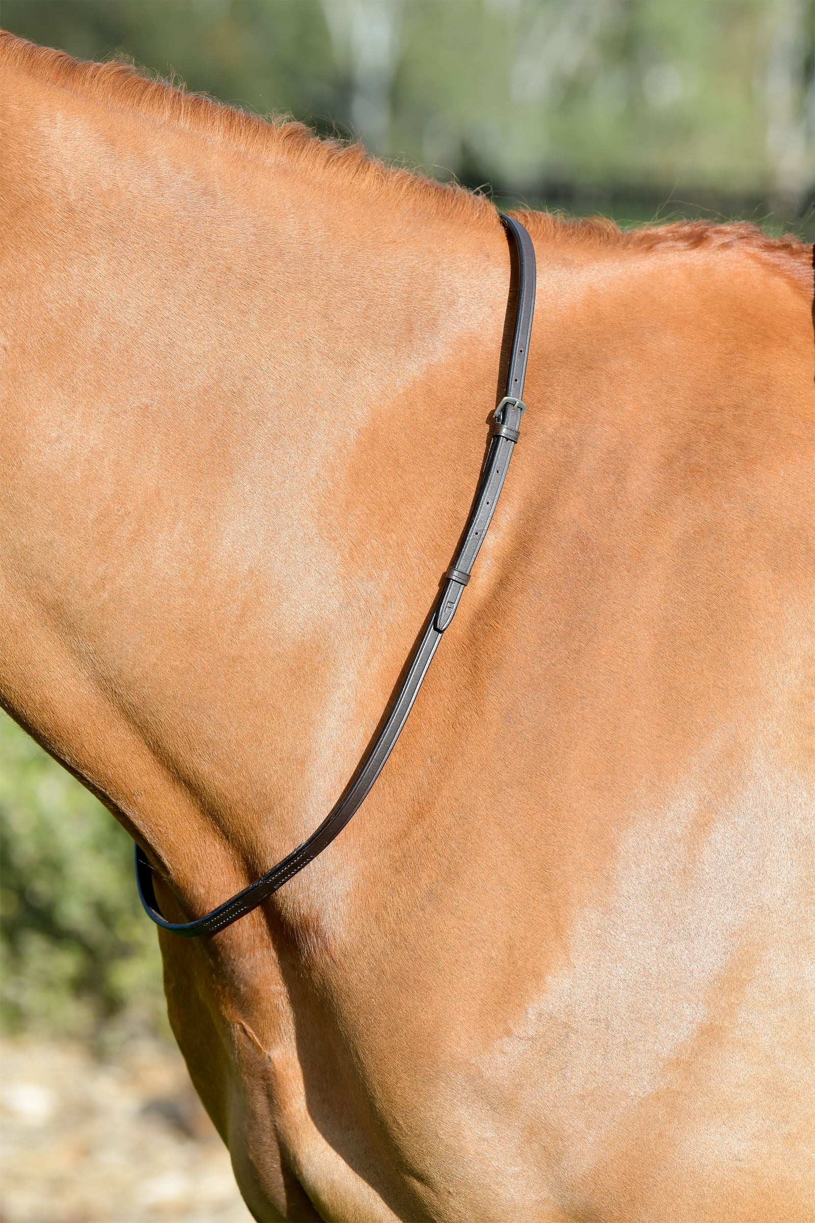 Kincade Classic collarino in cuoio Briglie & redini