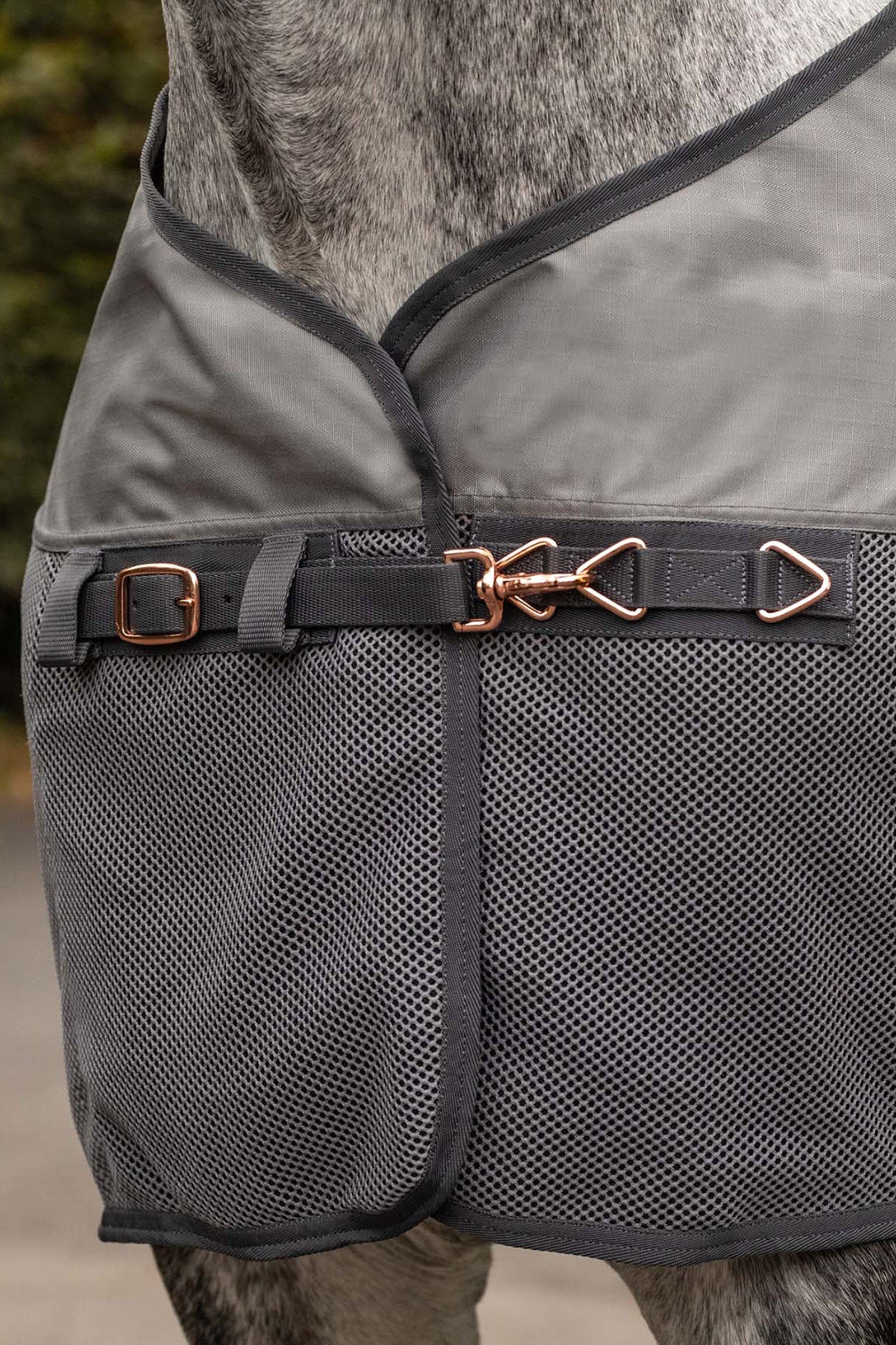 Waldhausen Comfort Rain Fly Rug Horse Rugs