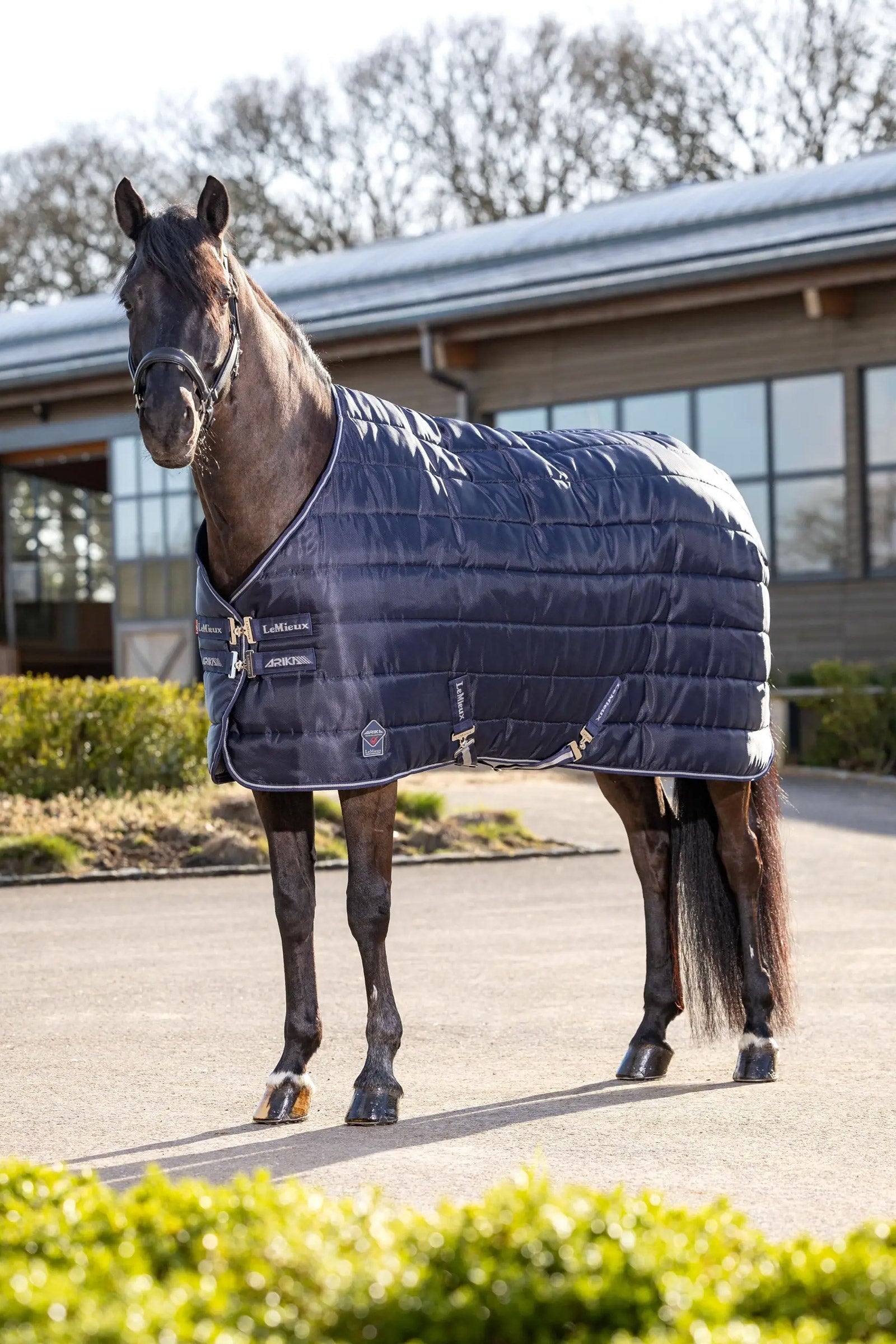 LeMieux Arika Stable-Tek Stable Rug, 200 g Coperte per cavalli