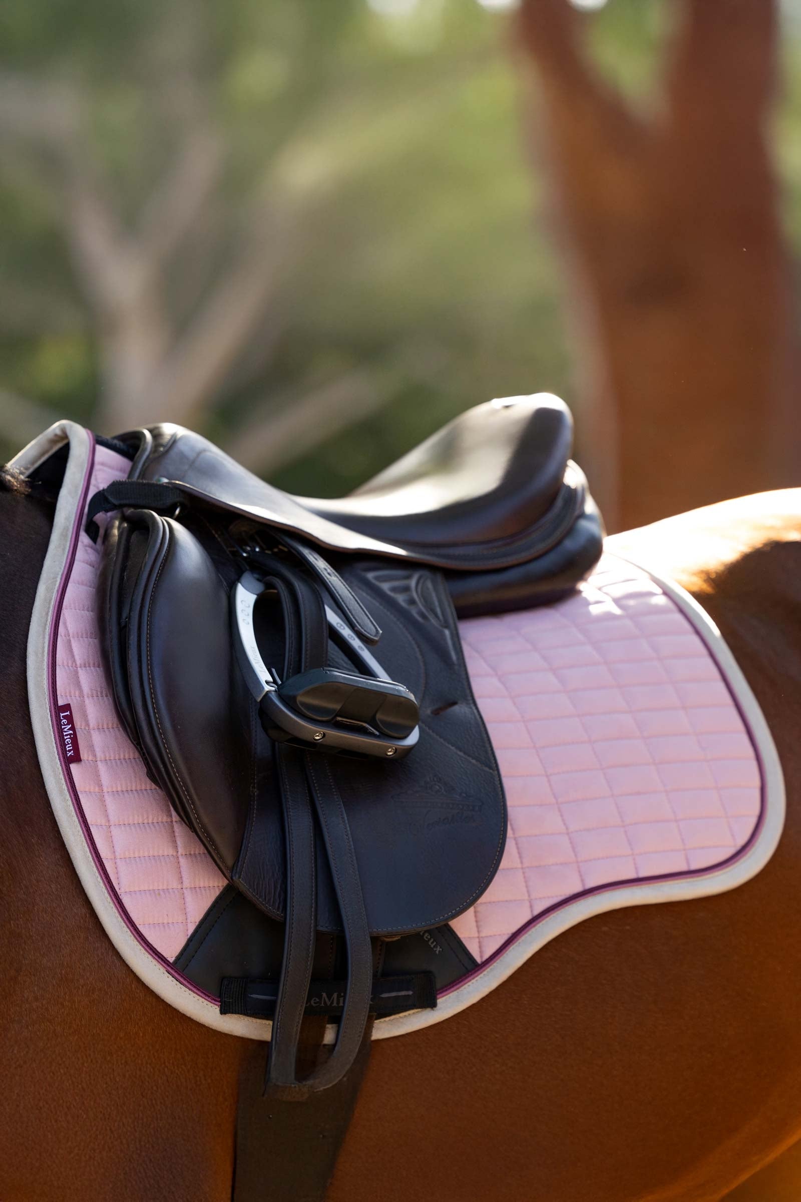 LeMieux Suede GP Square Saddle Pads