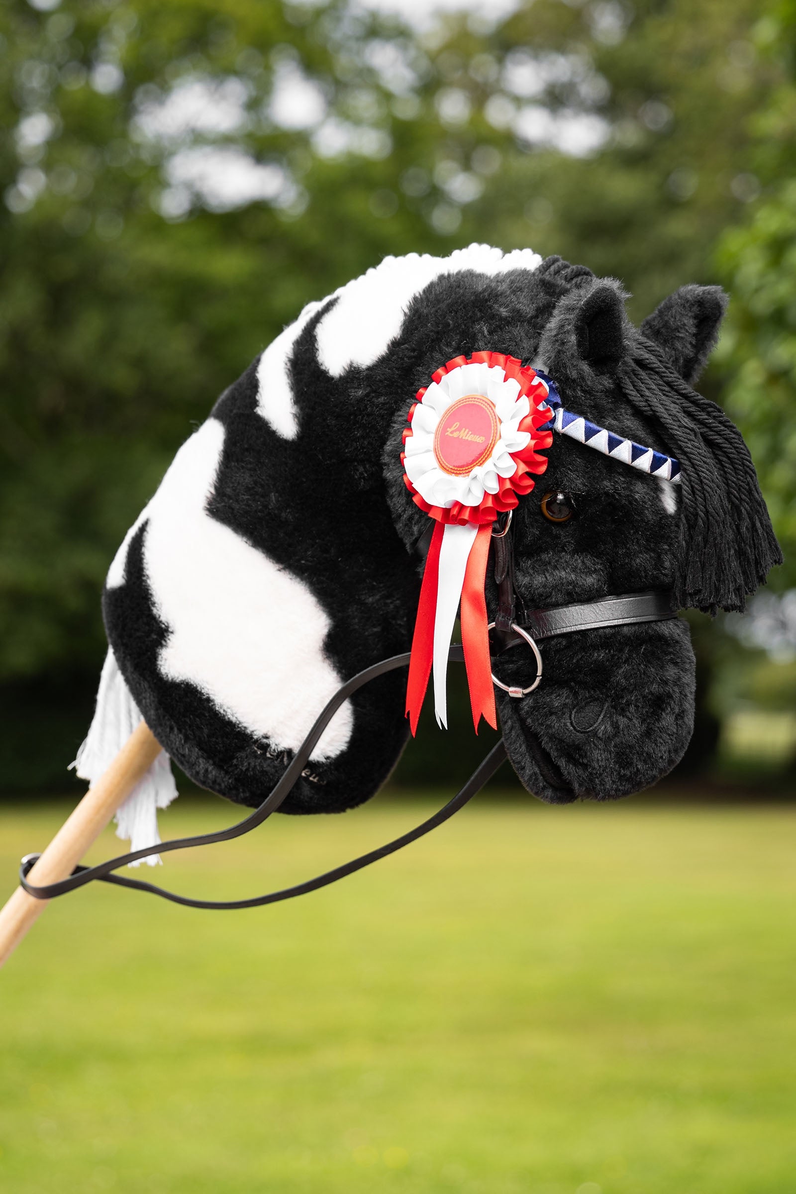 LeMieux Hobby Horse Rosette Multi Pack Gifts & Toys