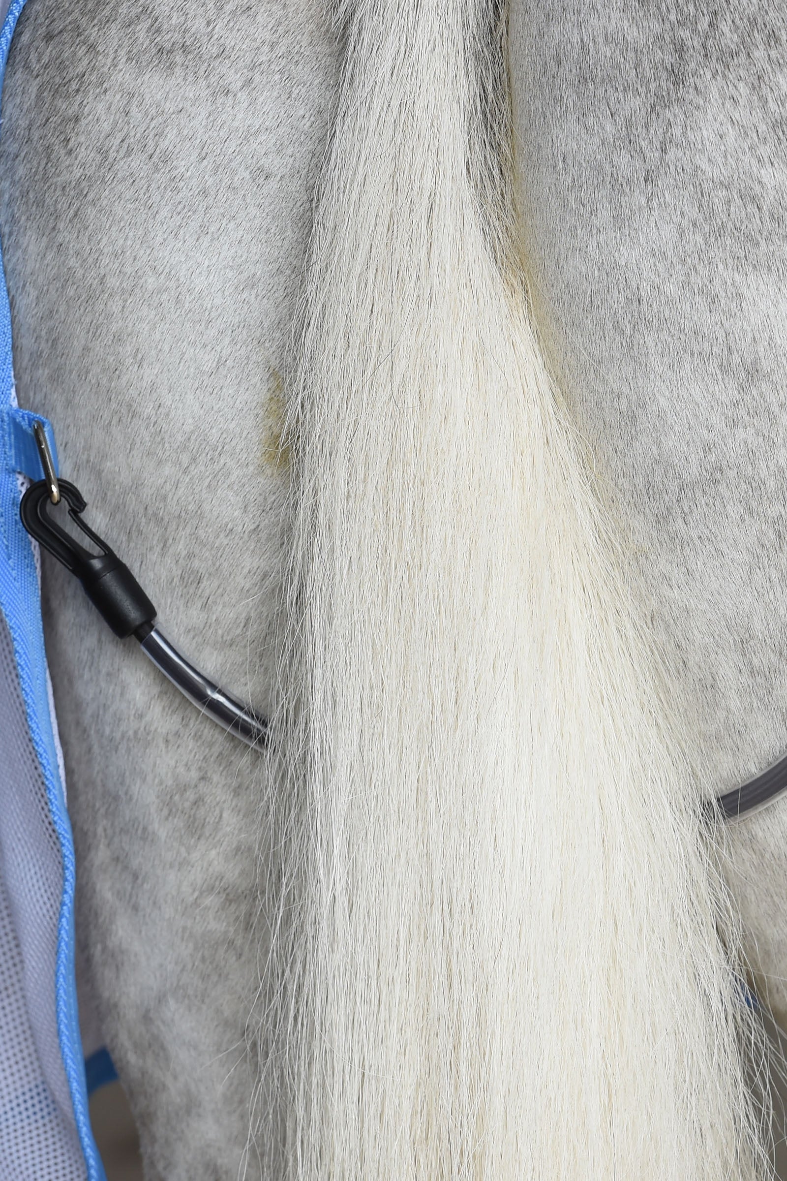 Weatherbeeta Air-Tec Cooler Standard Neck Horse Rugs