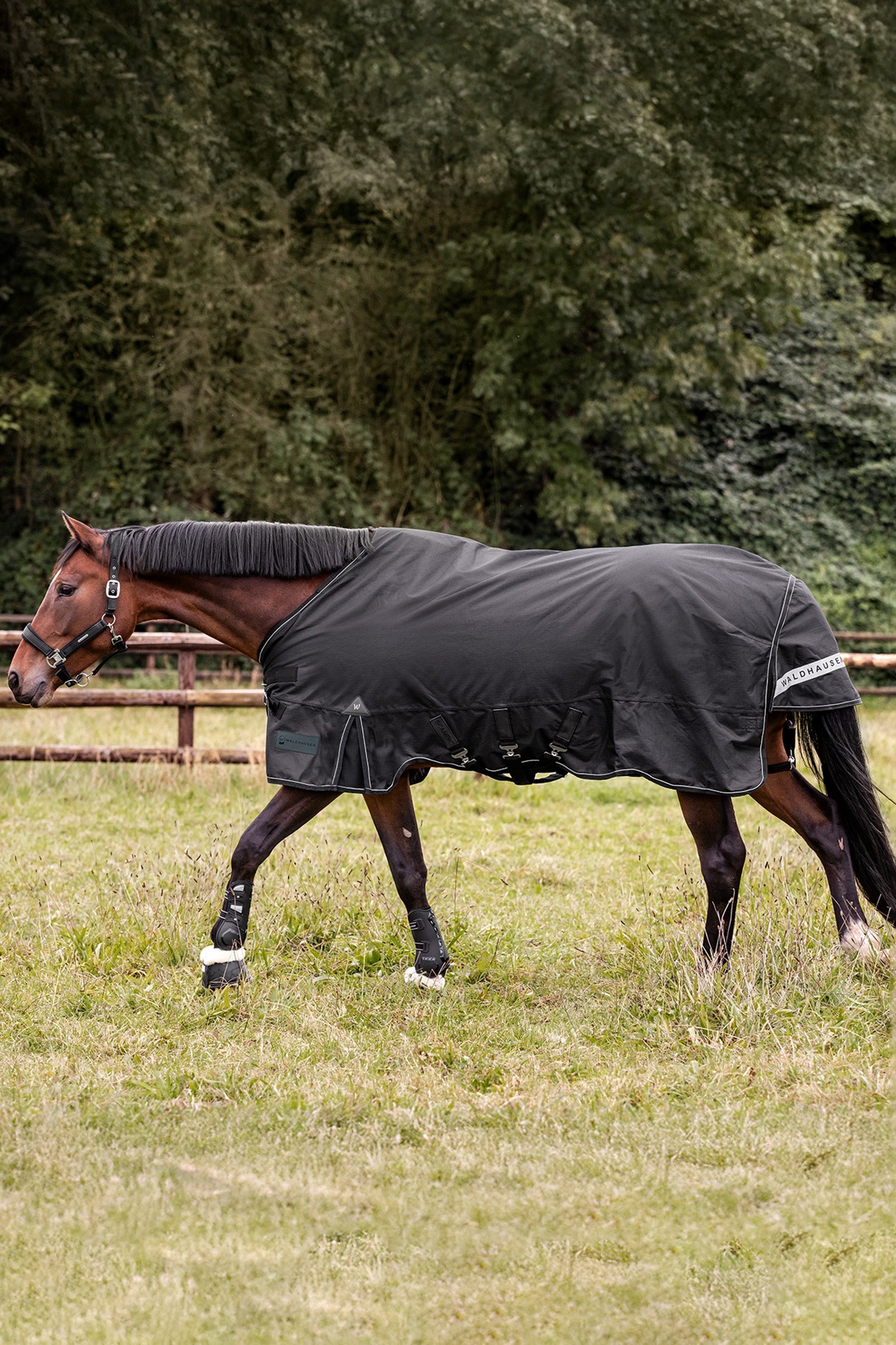 Waldhausen Outdoor Rug Scandic Light Horse Rugs