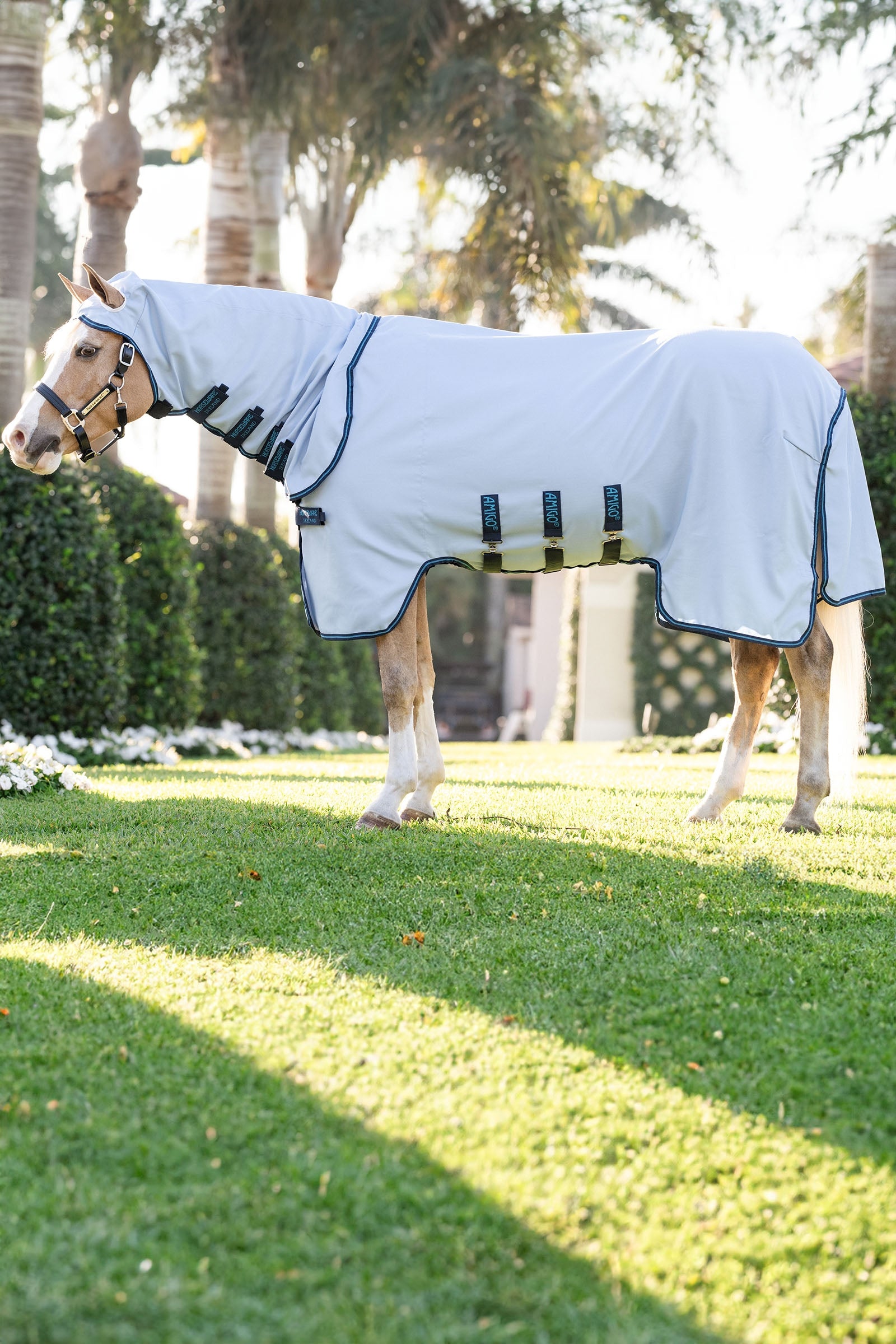Horseware Amigo Ripstop Hoody Pony Coperte per cavalli