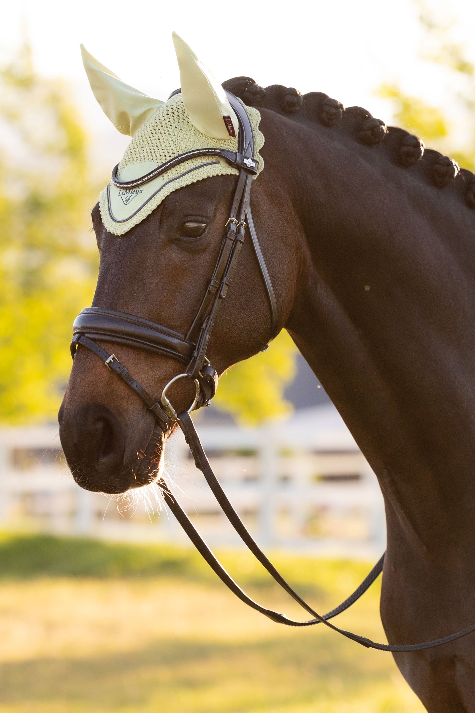 LeMieux Classic Fly Hood Saddle Pads