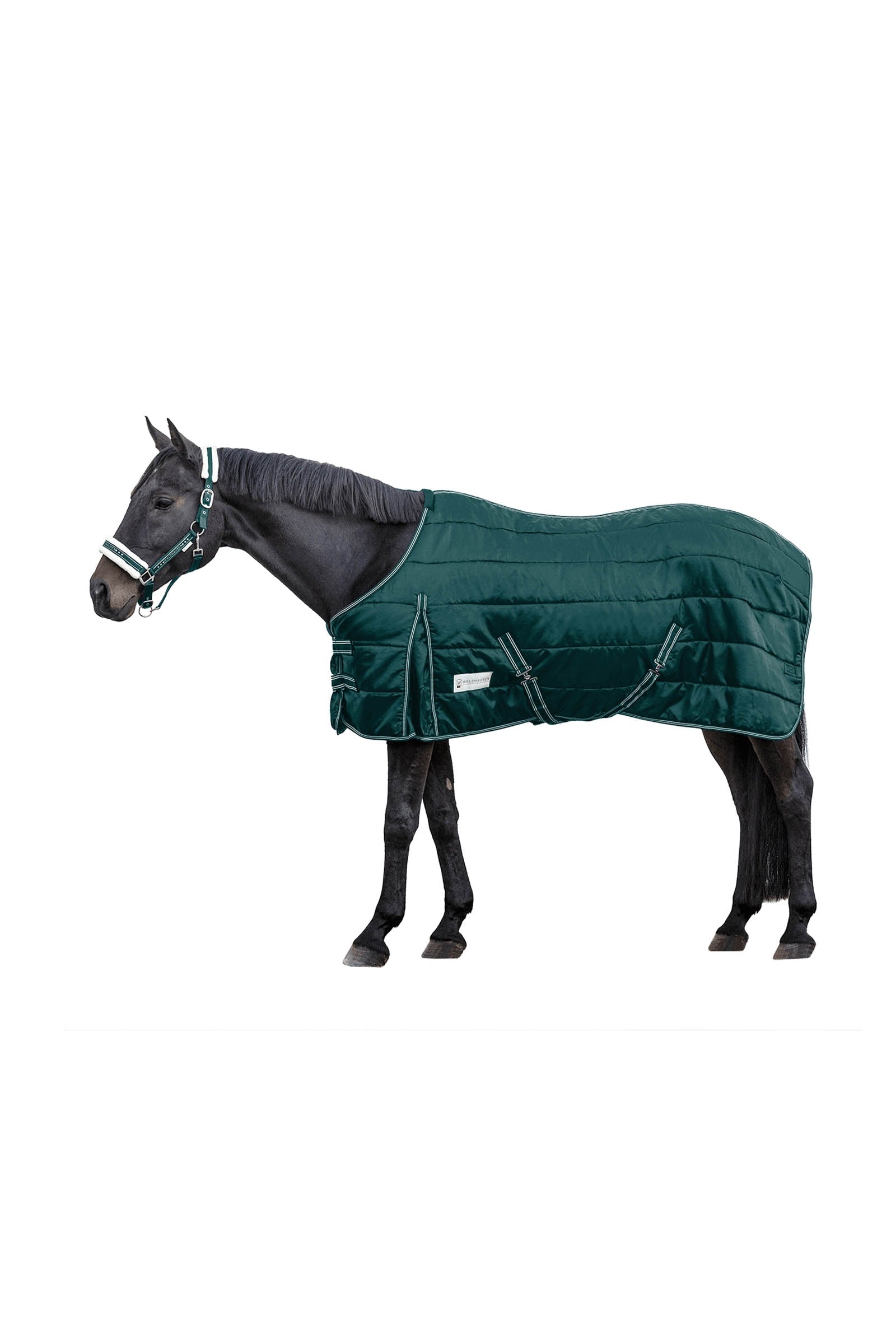 Waldhausen Stable rug Economic 200 g Coperte per cavalli