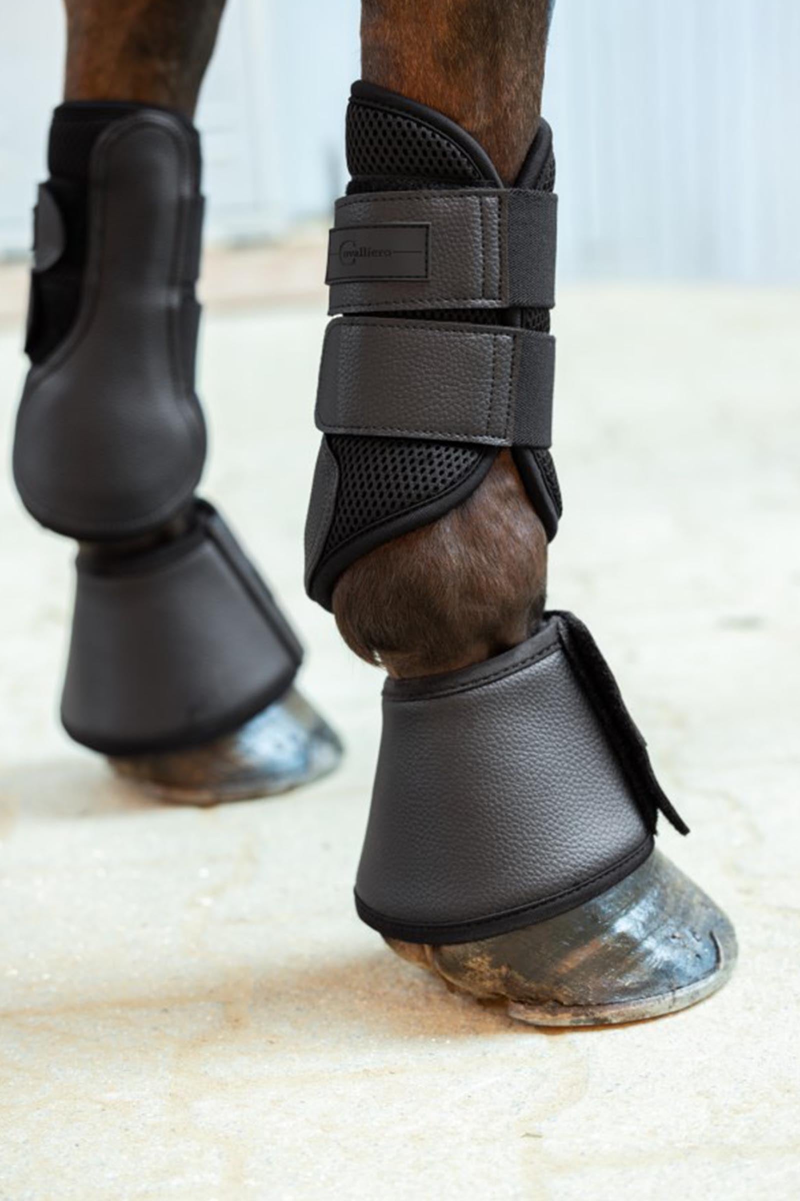 Covalliero Avina Bell Boots Leg & Hoof Protection