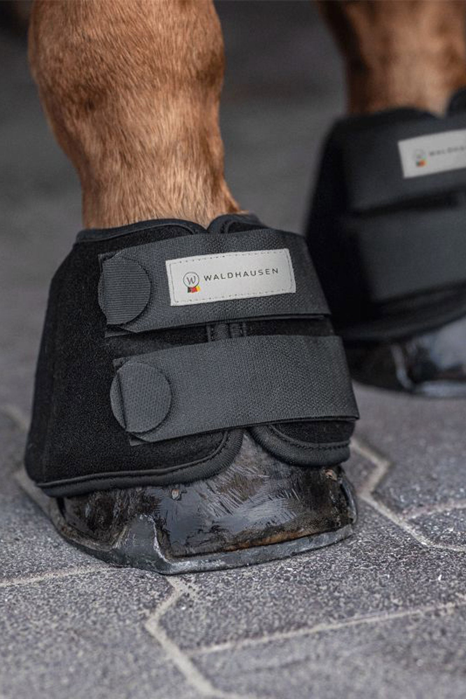 Waldhausen Cooling Bell Boots (Pair) Leg Protection & Hoof Protection for Horses
