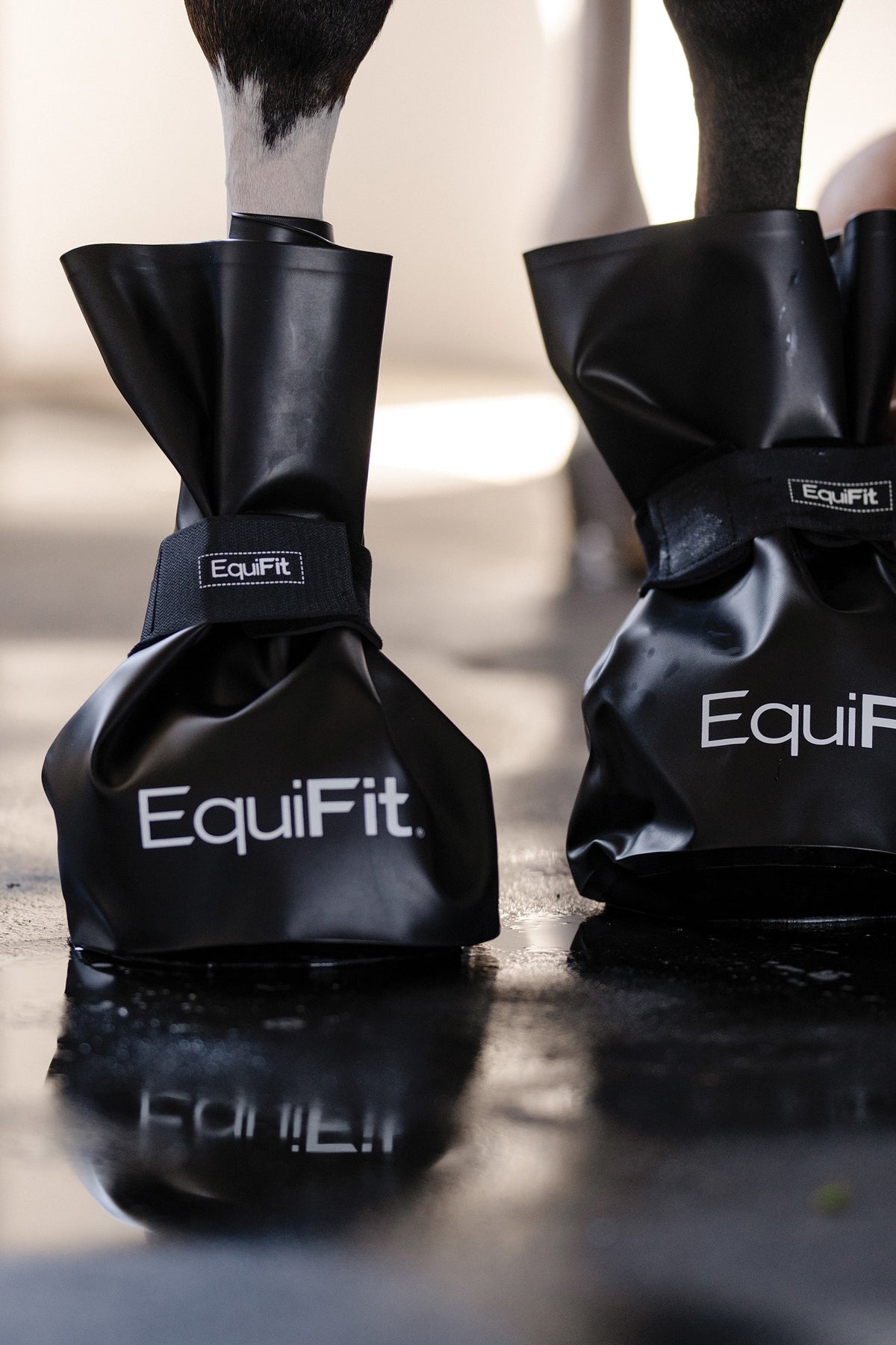 EquiFit EasyIce™ (Pair) Leg & Hoof Protection