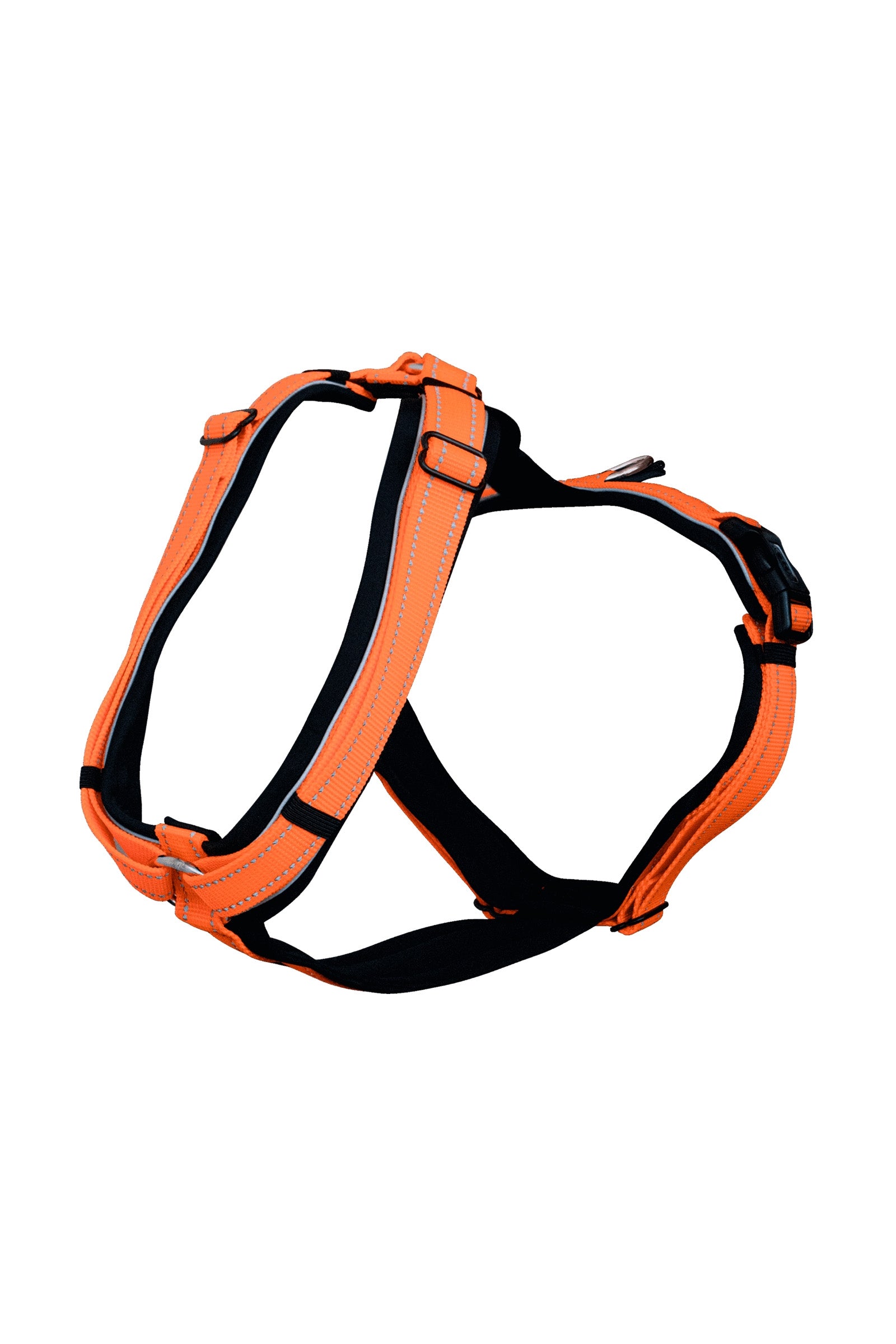 Sprenger Imbracatura per puledri Accessori per la toelettatura