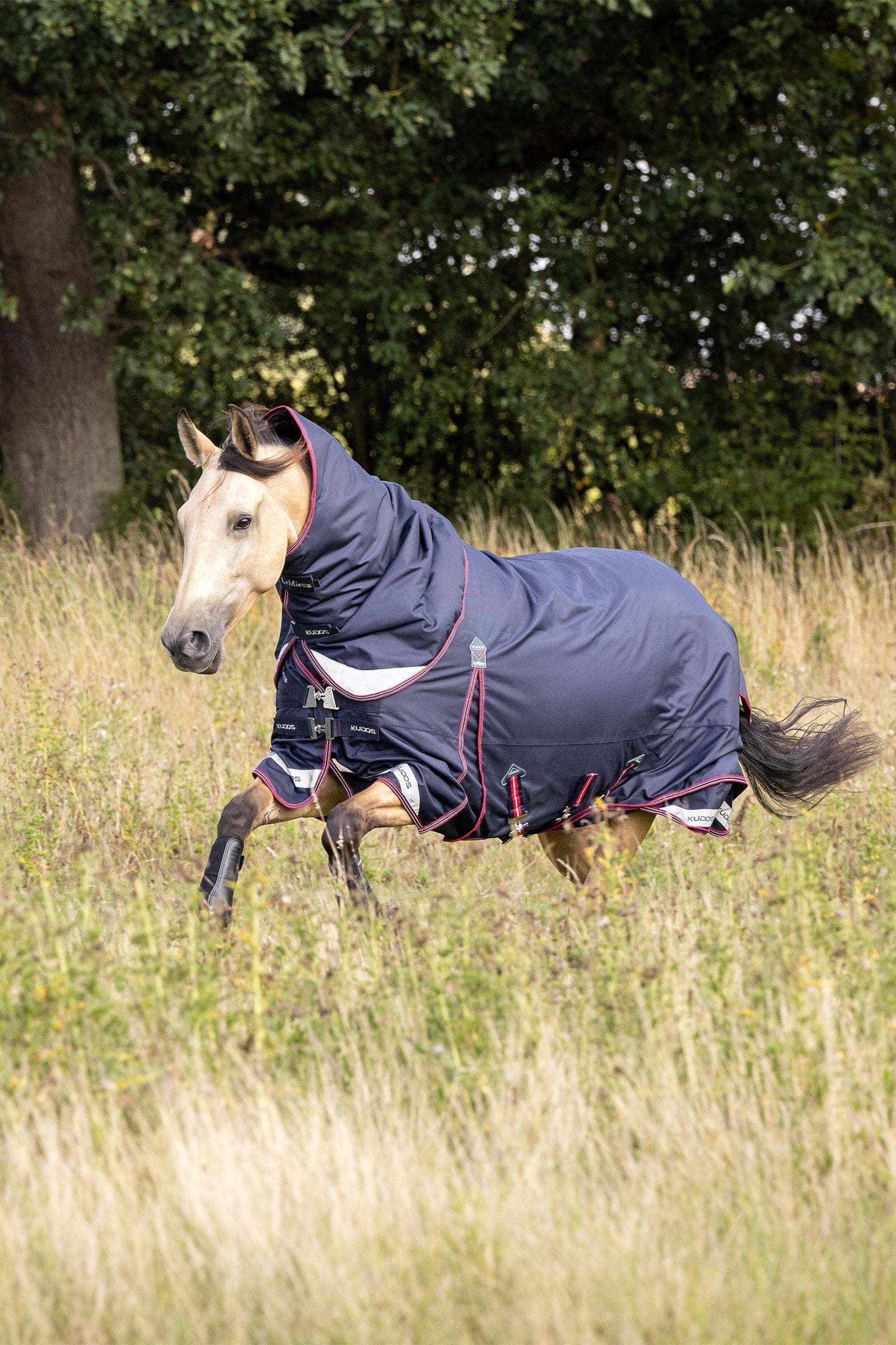 LeMieux Kudos Lightweight Turnout Rug, 50g Coperte per cavalli