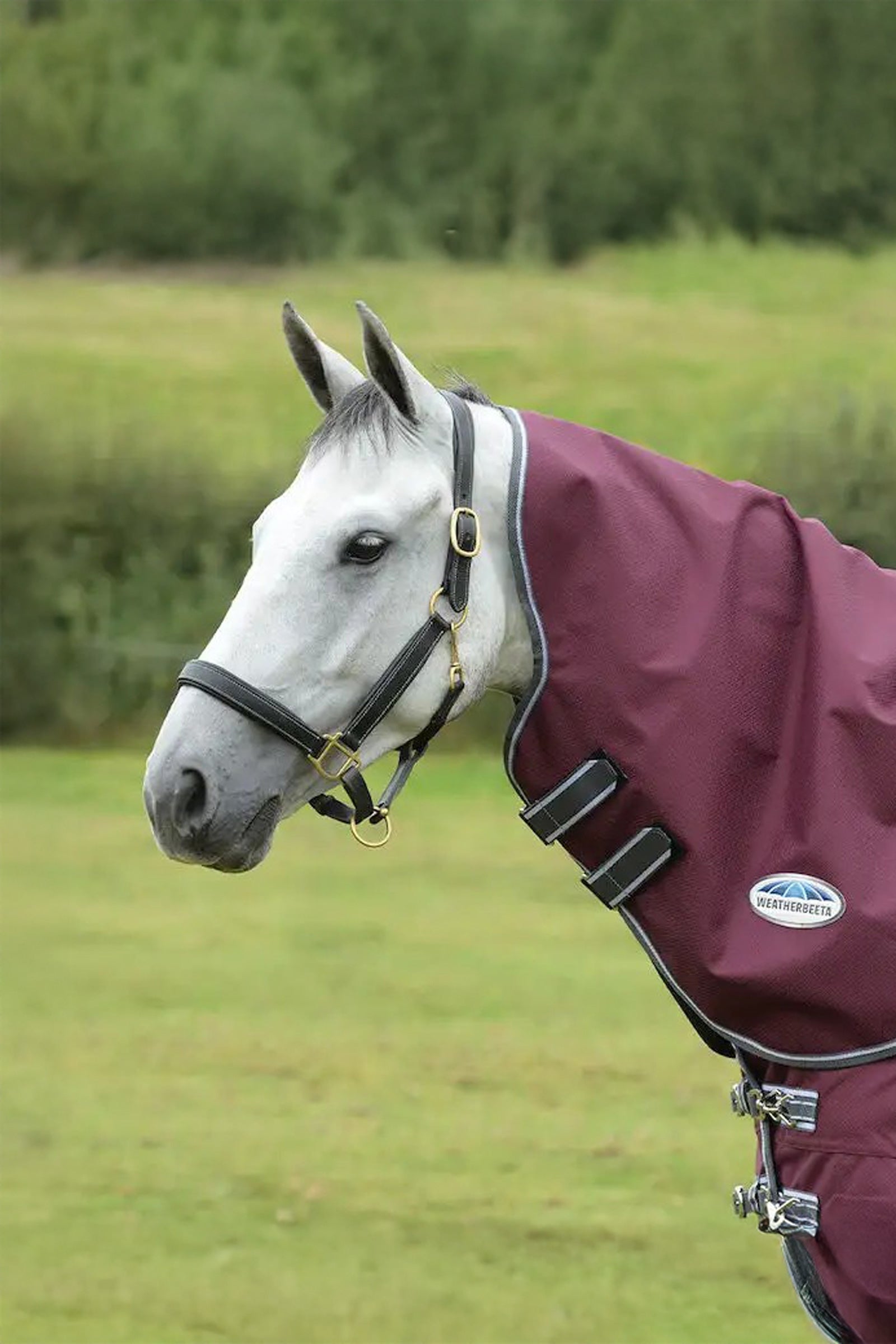Weatherbeeta Comfitec Plus Dynamic II Medium/Lite Coperta per il collo, 100 g Coperte per cavalli